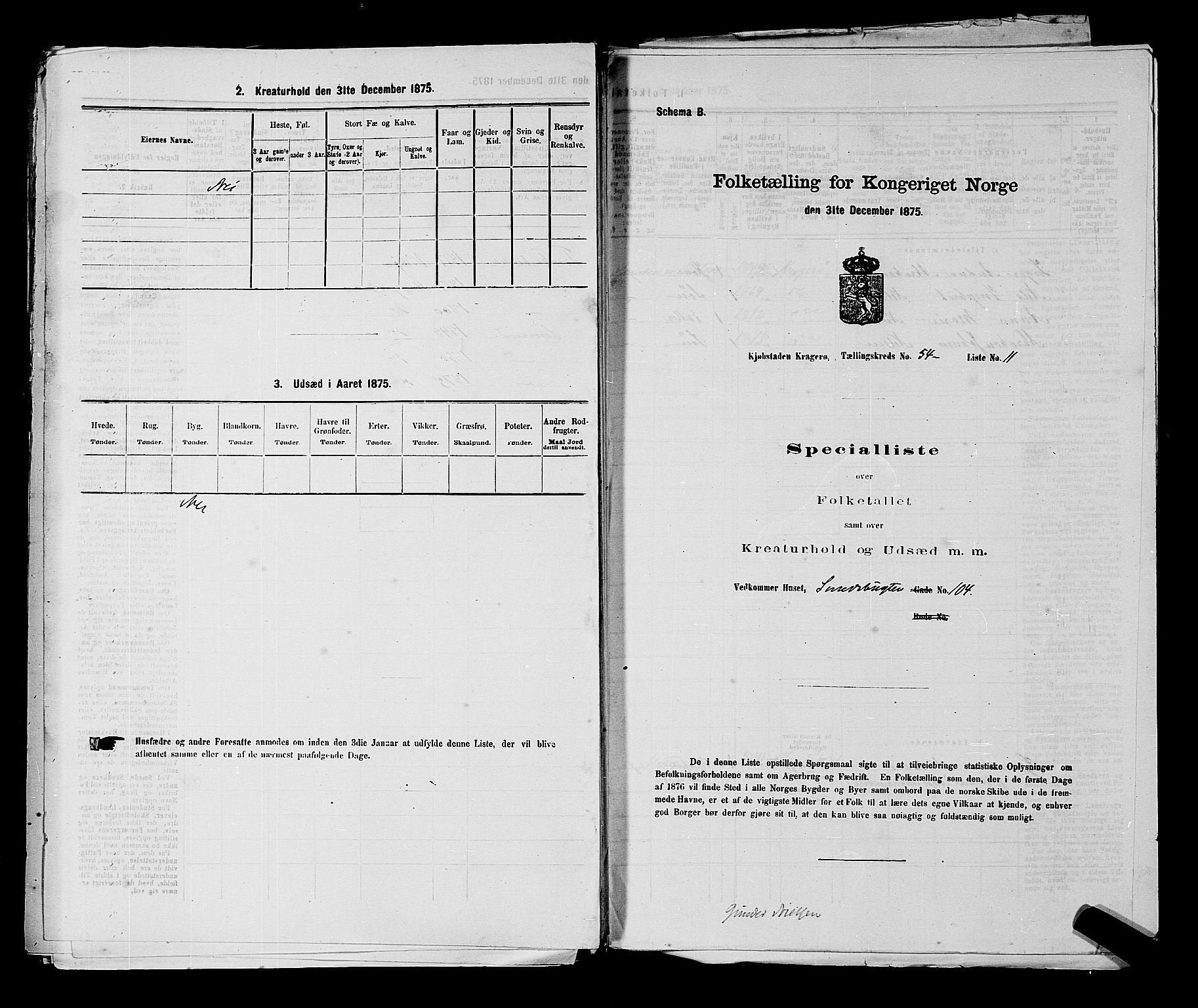 SAKO, 1875 census for 0801P Kragerø, 1875, p. 1205