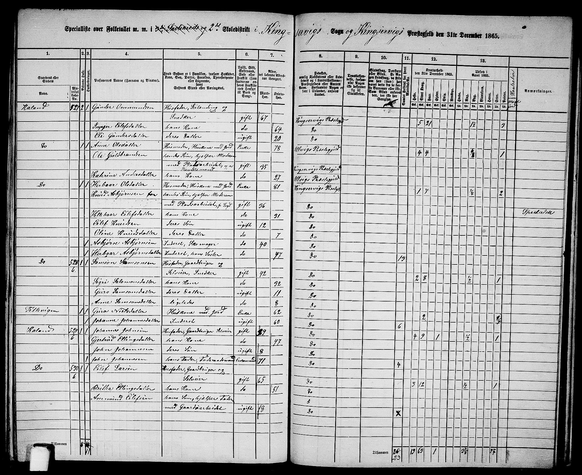 RA, 1865 census for Kinsarvik, 1865, p. 229