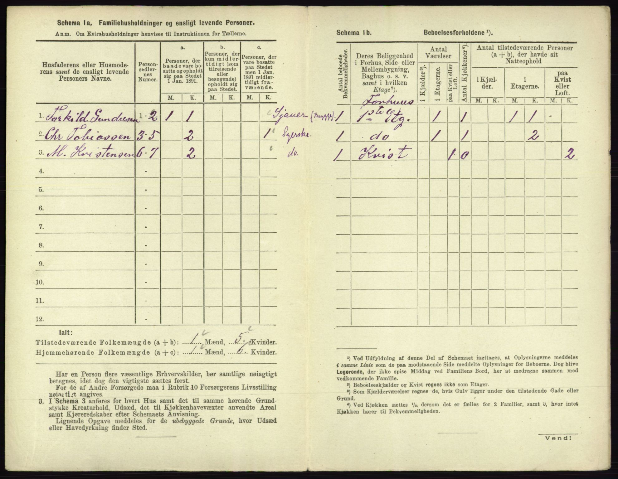 RA, 1891 census for 0602 Drammen, 1891, p. 1318