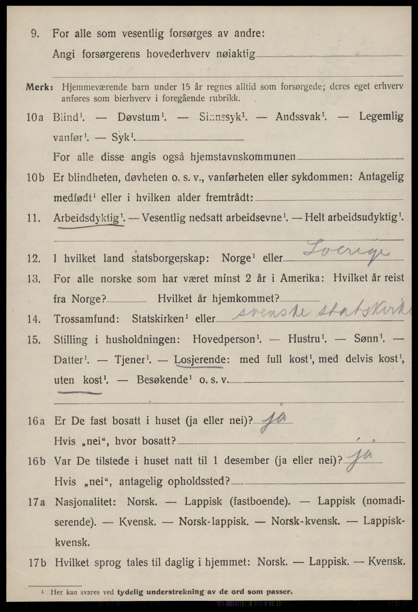 SAT, 1920 census for Strinda, 1920, p. 12913
