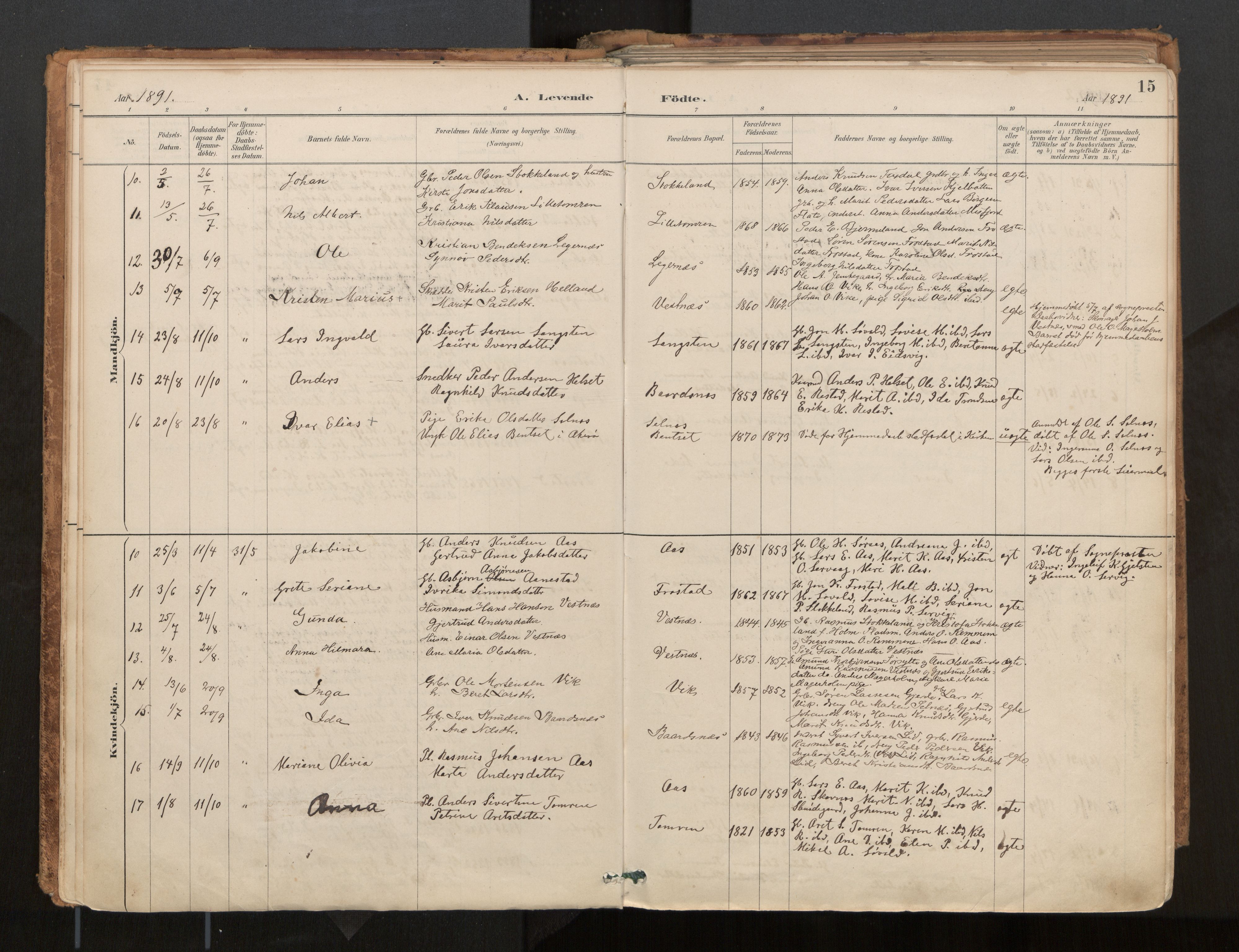 Ministerialprotokoller, klokkerbøker og fødselsregistre - Møre og Romsdal, AV/SAT-A-1454/539/L0531: Parish register (official) no. 539A04, 1887-1913, p. 15