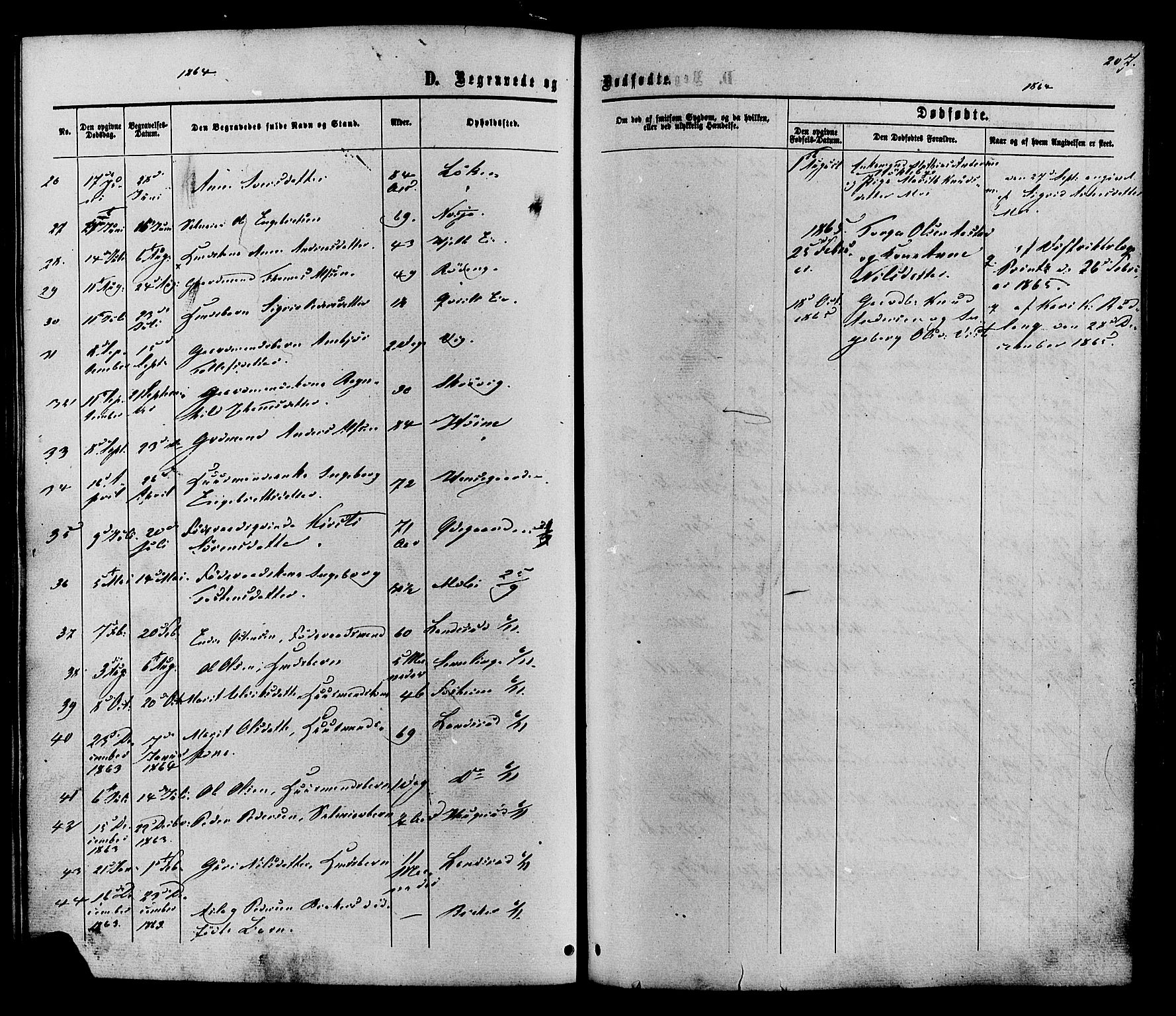 Vestre Slidre prestekontor, SAH/PREST-136/H/Ha/Haa/L0003: Parish register (official) no. 3, 1865-1880, p. 207