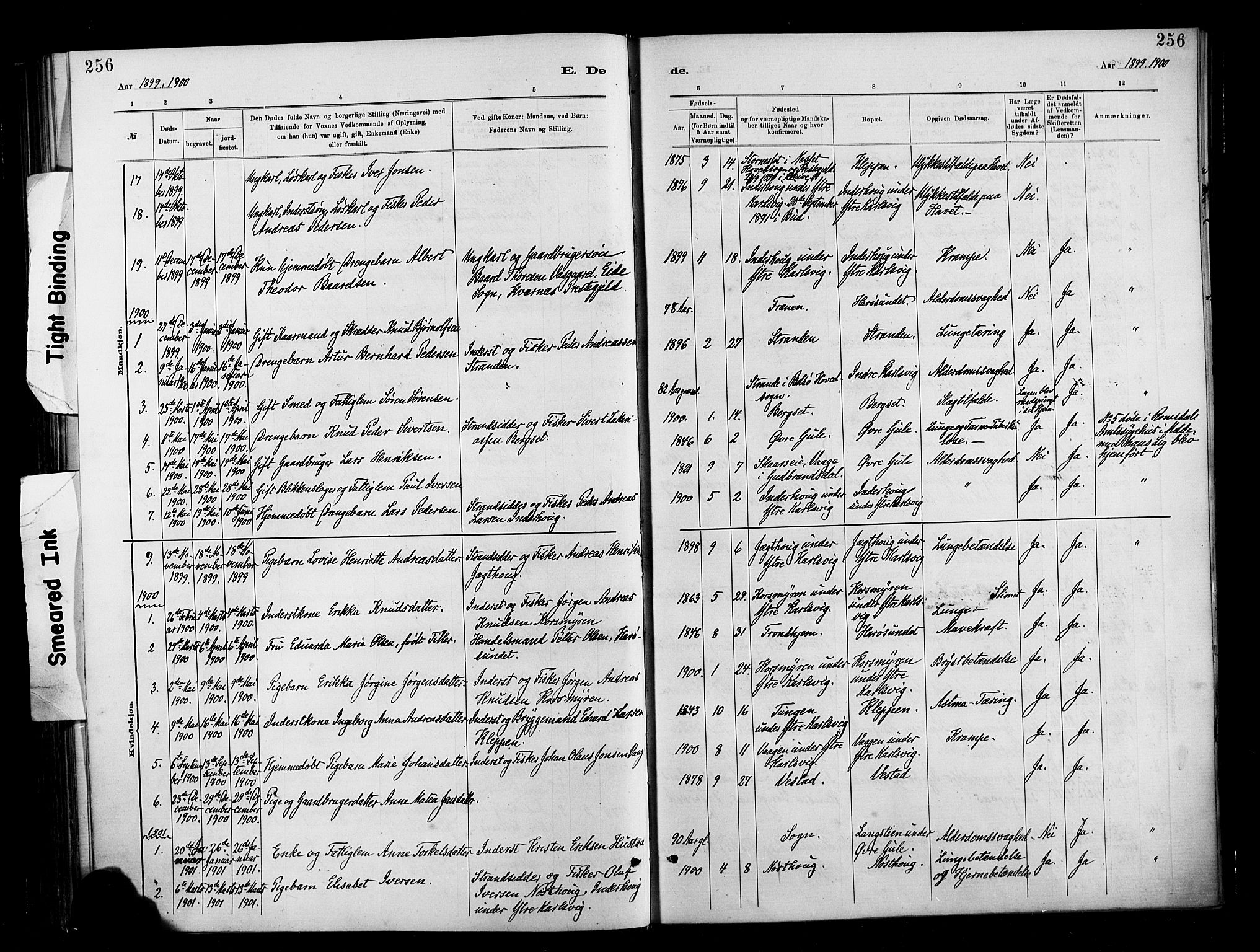 Ministerialprotokoller, klokkerbøker og fødselsregistre - Møre og Romsdal, SAT/A-1454/566/L0769: Parish register (official) no. 566A08, 1881-1903, p. 256