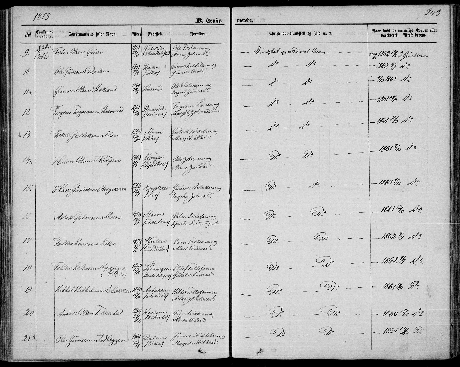 Bø kirkebøker, SAKO/A-257/F/Fa/L0009: Parish register (official) no. 9, 1862-1879, p. 243