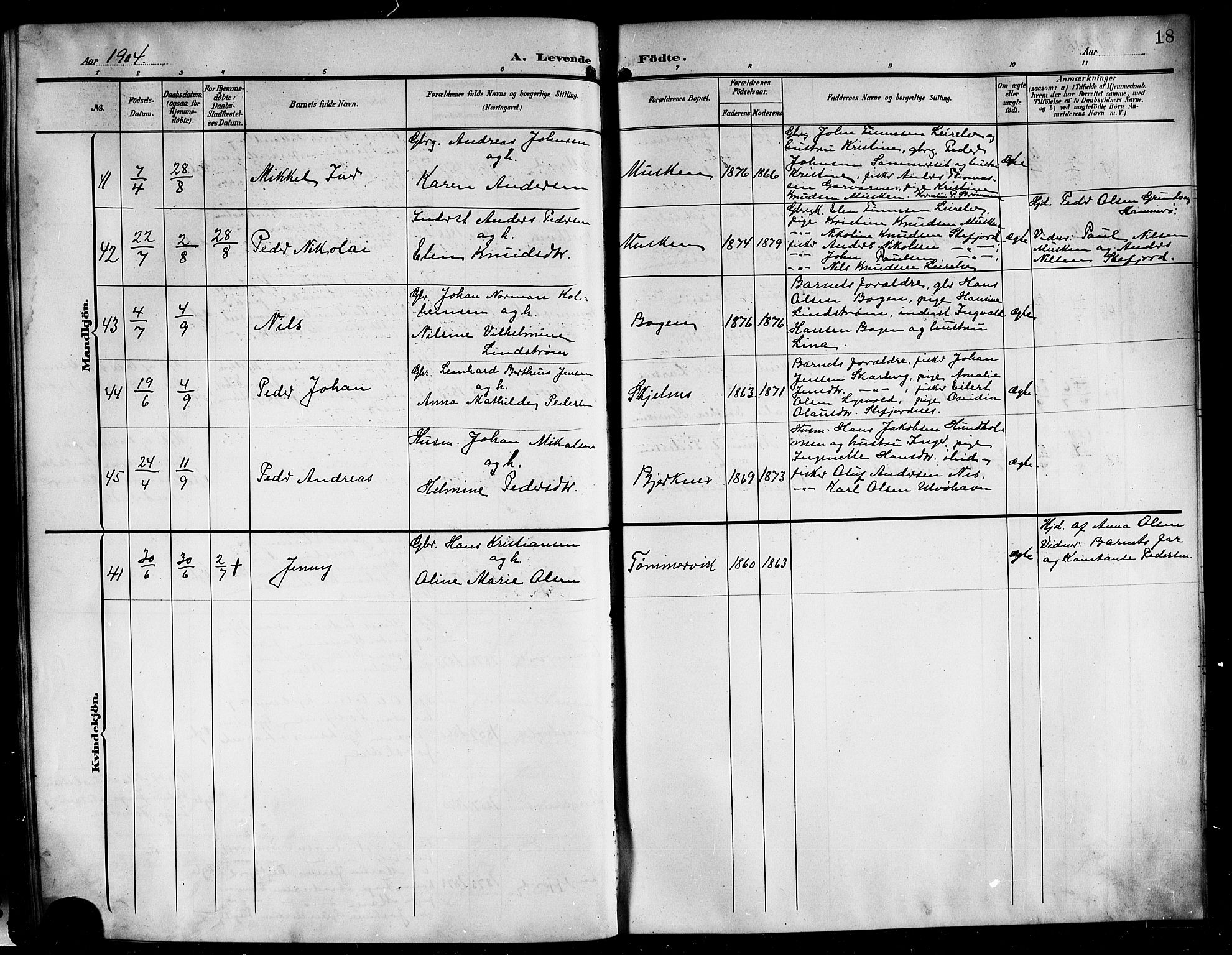 Ministerialprotokoller, klokkerbøker og fødselsregistre - Nordland, AV/SAT-A-1459/861/L0877: Parish register (copy) no. 861C03, 1903-1919, p. 18