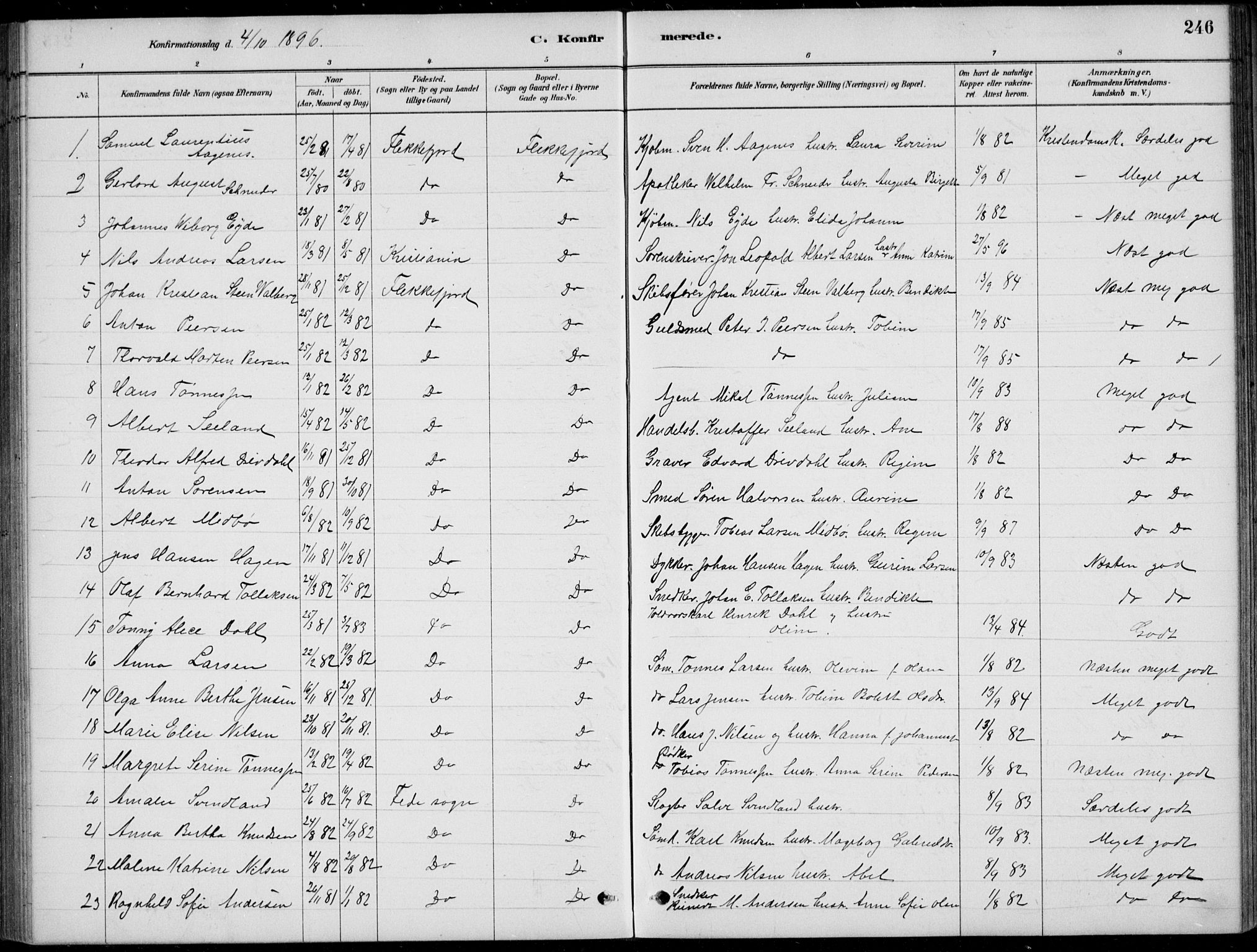 Flekkefjord sokneprestkontor, SAK/1111-0012/F/Fb/Fbc/L0007: Parish register (copy) no. B 7, 1880-1902, p. 246