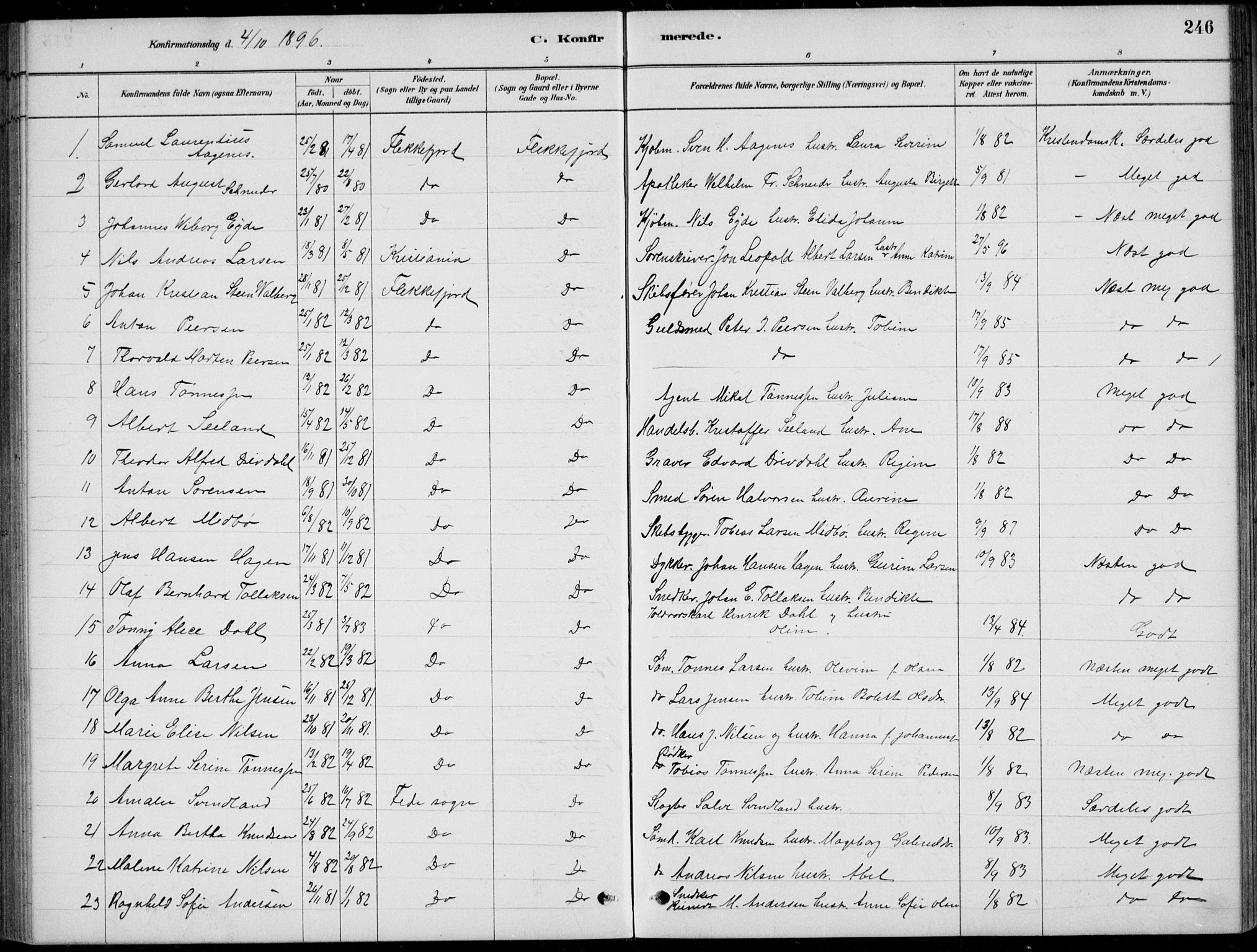Flekkefjord sokneprestkontor, AV/SAK-1111-0012/F/Fb/Fbc/L0007: Parish register (copy) no. B 7, 1880-1902, p. 246
