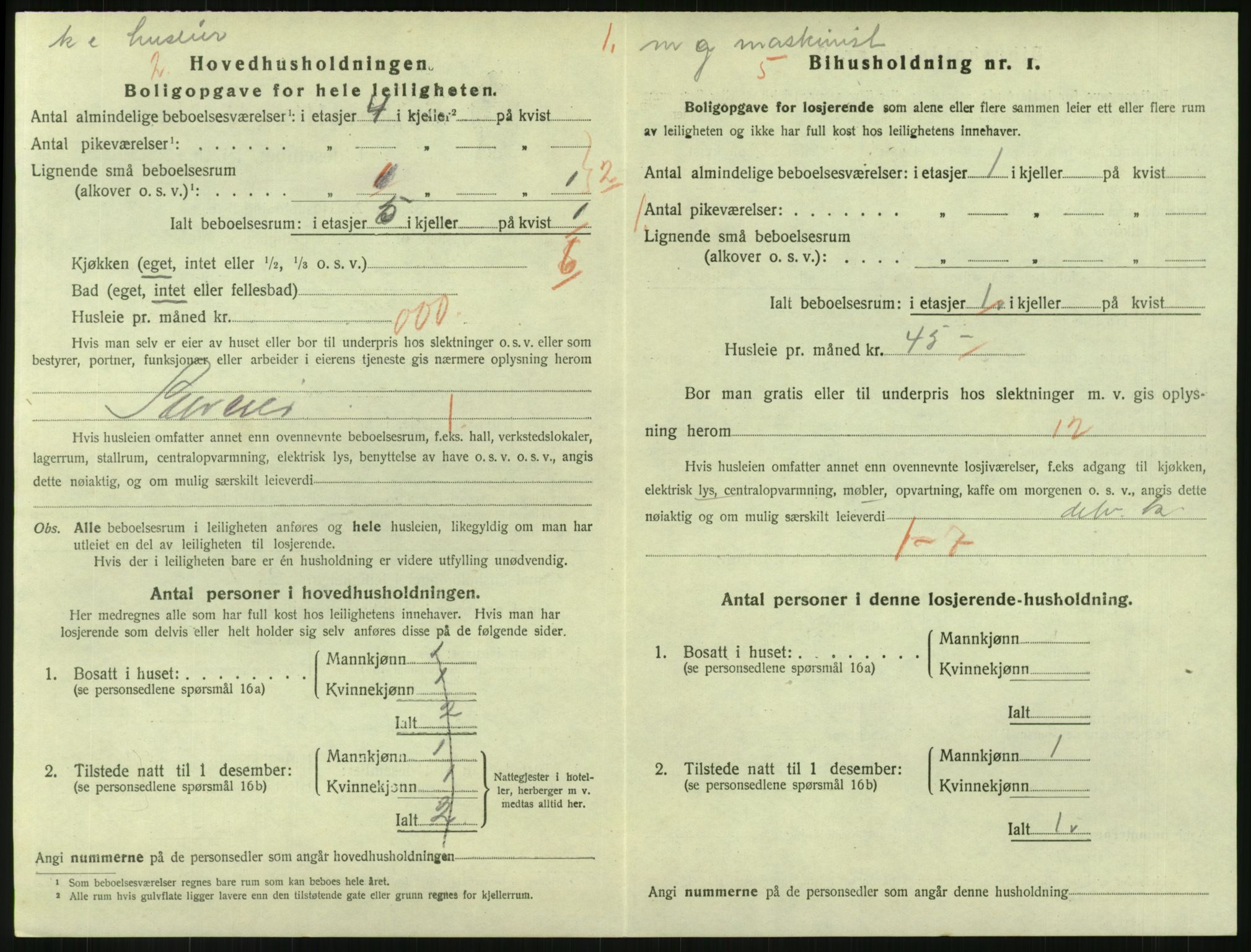 SAKO, 1920 census for Svelvik, 1920, p. 1004