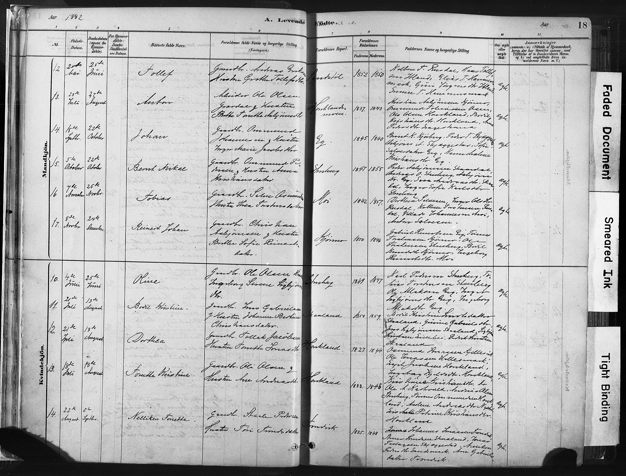 Lund sokneprestkontor, AV/SAST-A-101809/S06/L0011: Parish register (official) no. A 10, 1877-1904, p. 18