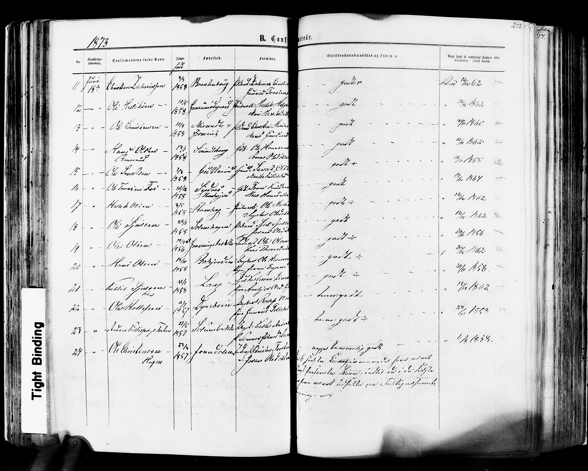 Flesberg kirkebøker, SAKO/A-18/F/Fa/L0007: Parish register (official) no. I 7, 1861-1878, p. 203