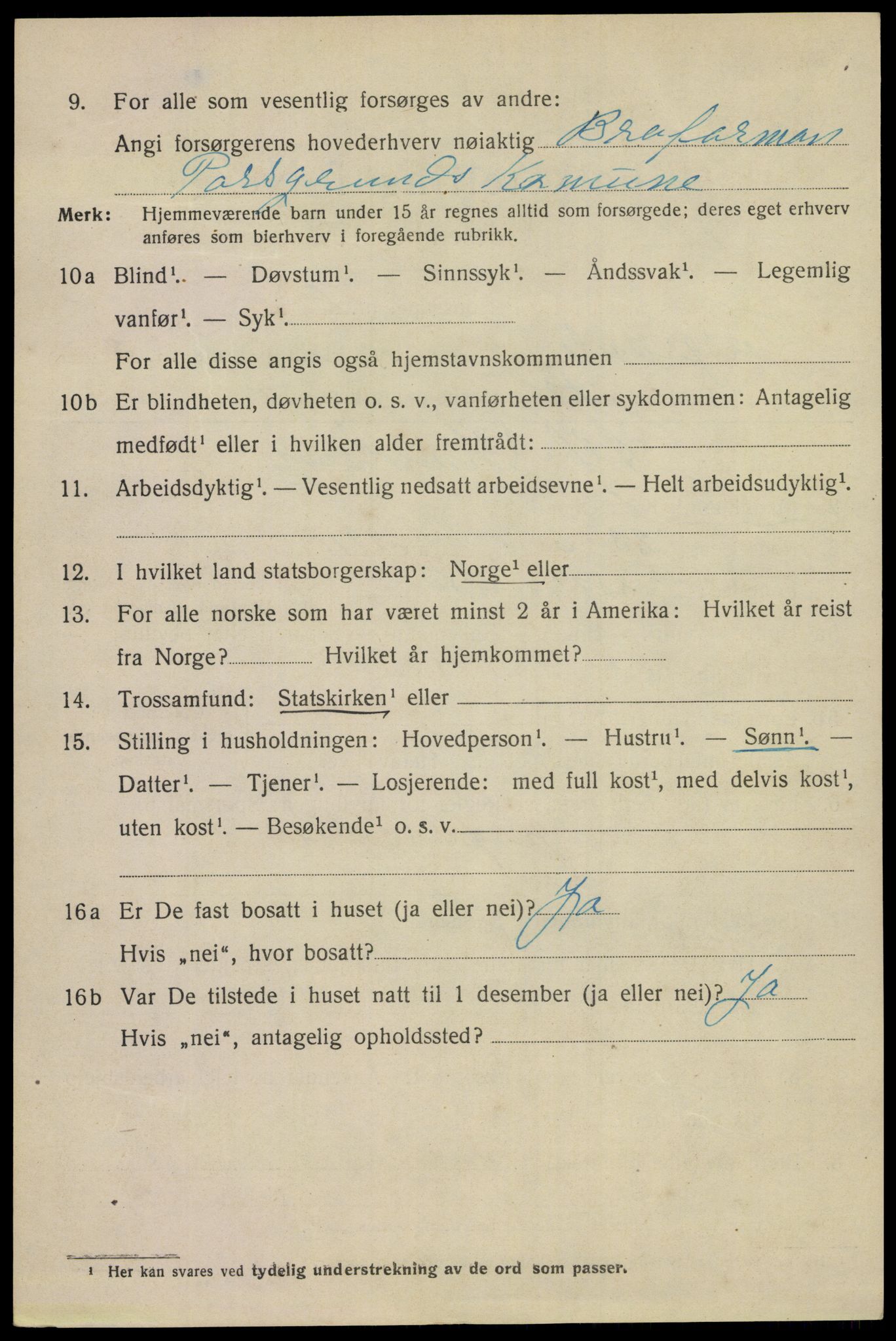 SAKO, 1920 census for Porsgrunn, 1920, p. 17342