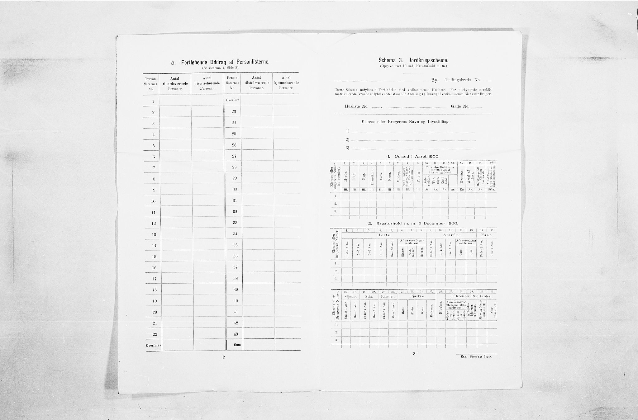 SAO, 1900 census for Fredrikstad, 1900