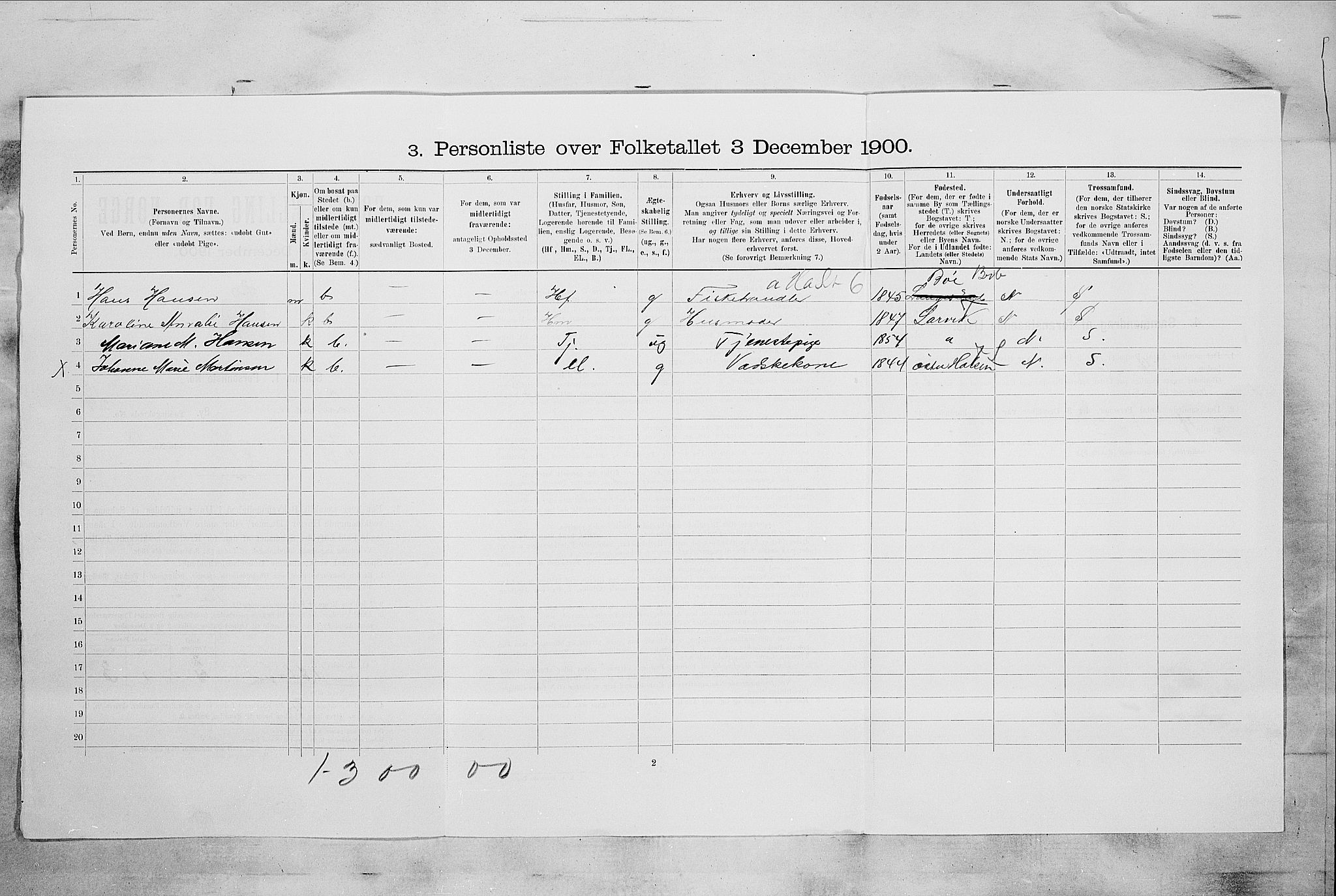 RA, 1900 census for Larvik, 1900, p. 3175