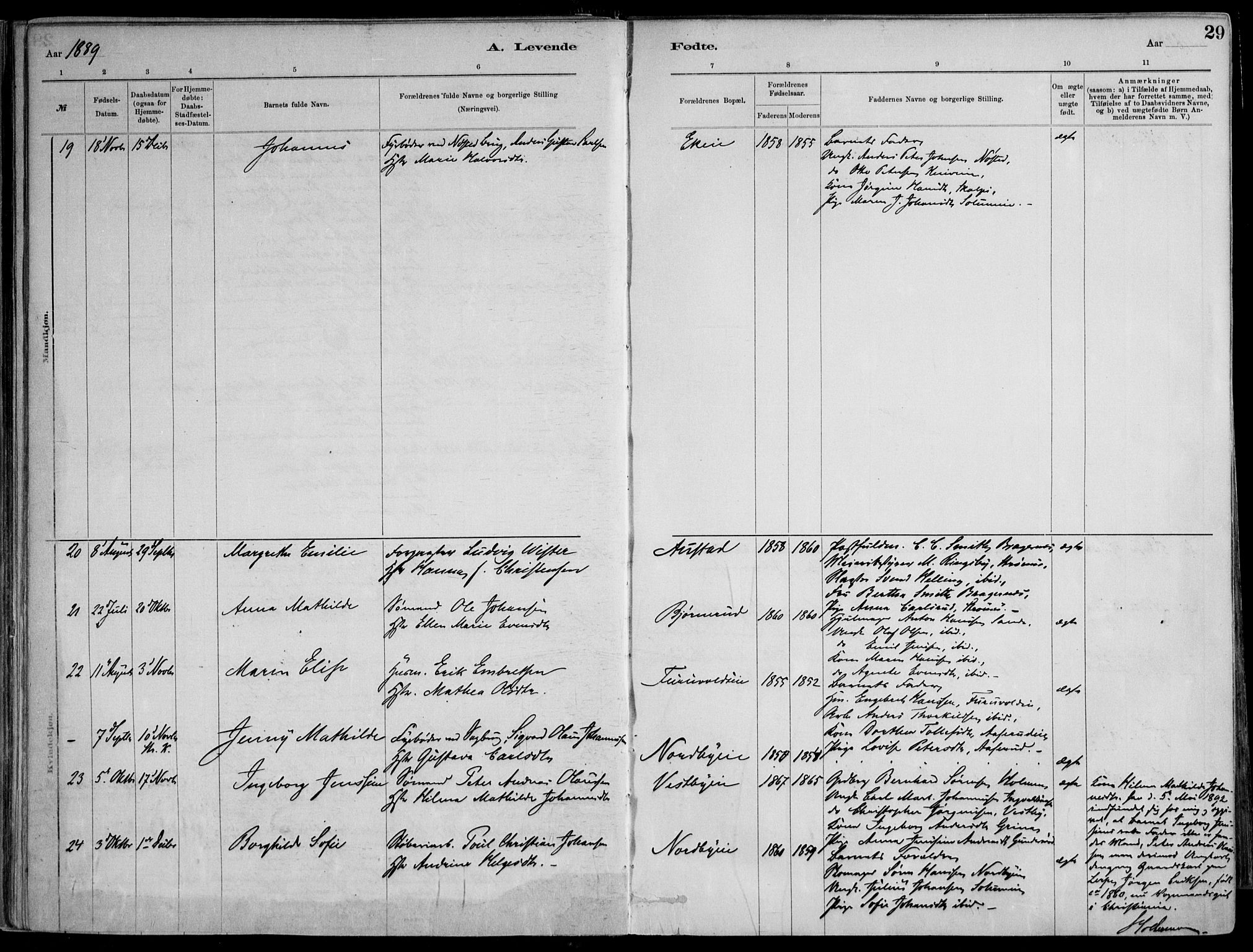 Skoger kirkebøker, AV/SAKO-A-59/F/Fa/L0006: Parish register (official) no. I 6, 1885-1910, p. 29