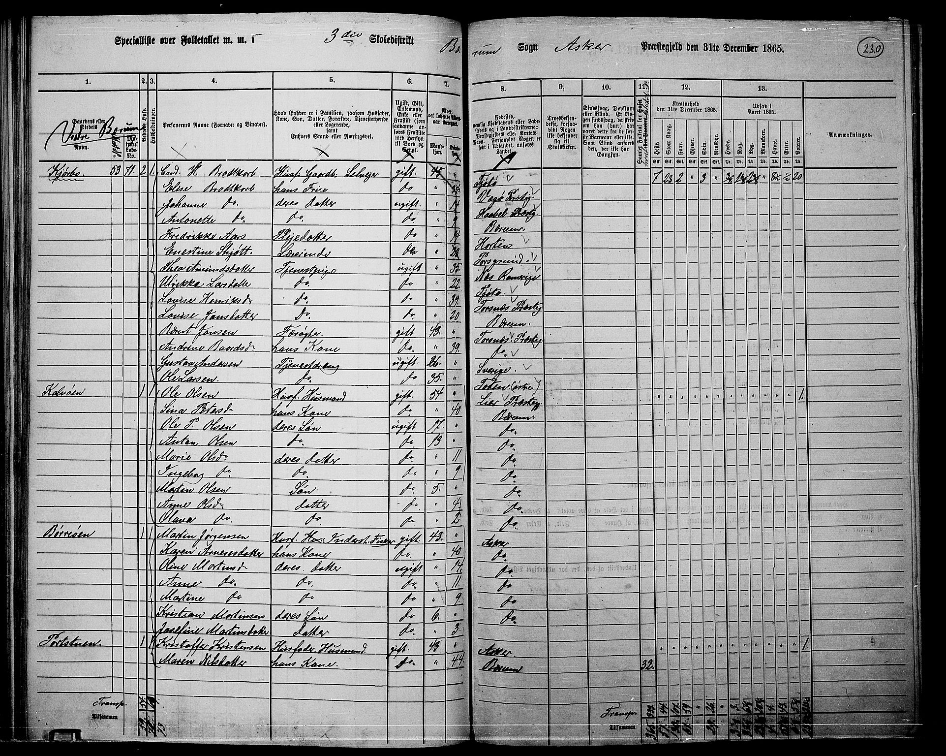 RA, 1865 census for Asker, 1865, p. 222