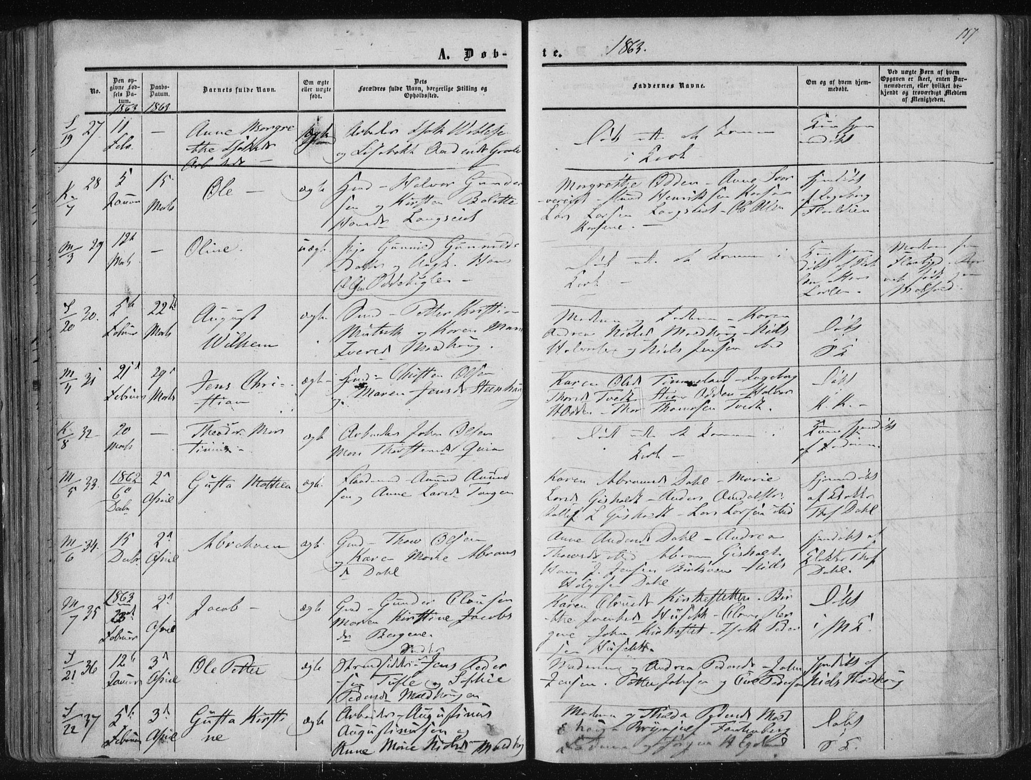 Solum kirkebøker, AV/SAKO-A-306/F/Fa/L0007: Parish register (official) no. I 7, 1856-1864, p. 117