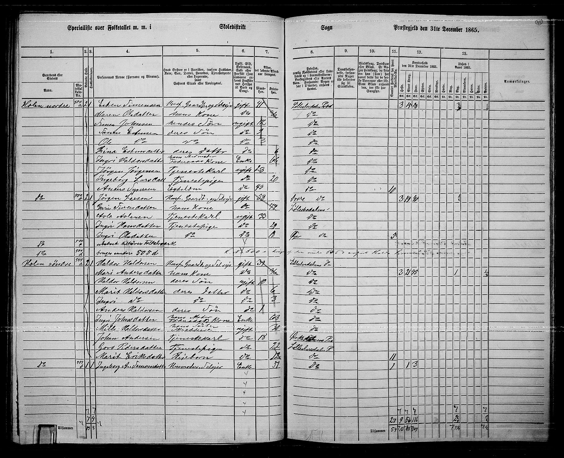 RA, 1865 census for Lille Elvedalen, 1865, p. 96