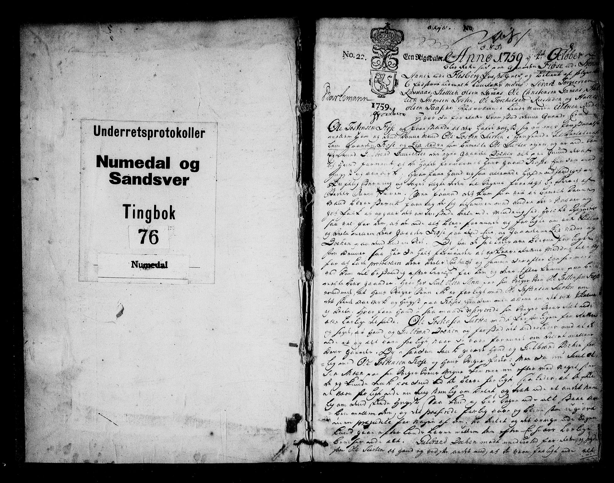 Numedal og Sandsvær sorenskriveri, SAKO/A-128/F/Fa/Faa/L0074: Tingbøker, 1759-1764, p. 0b-1a