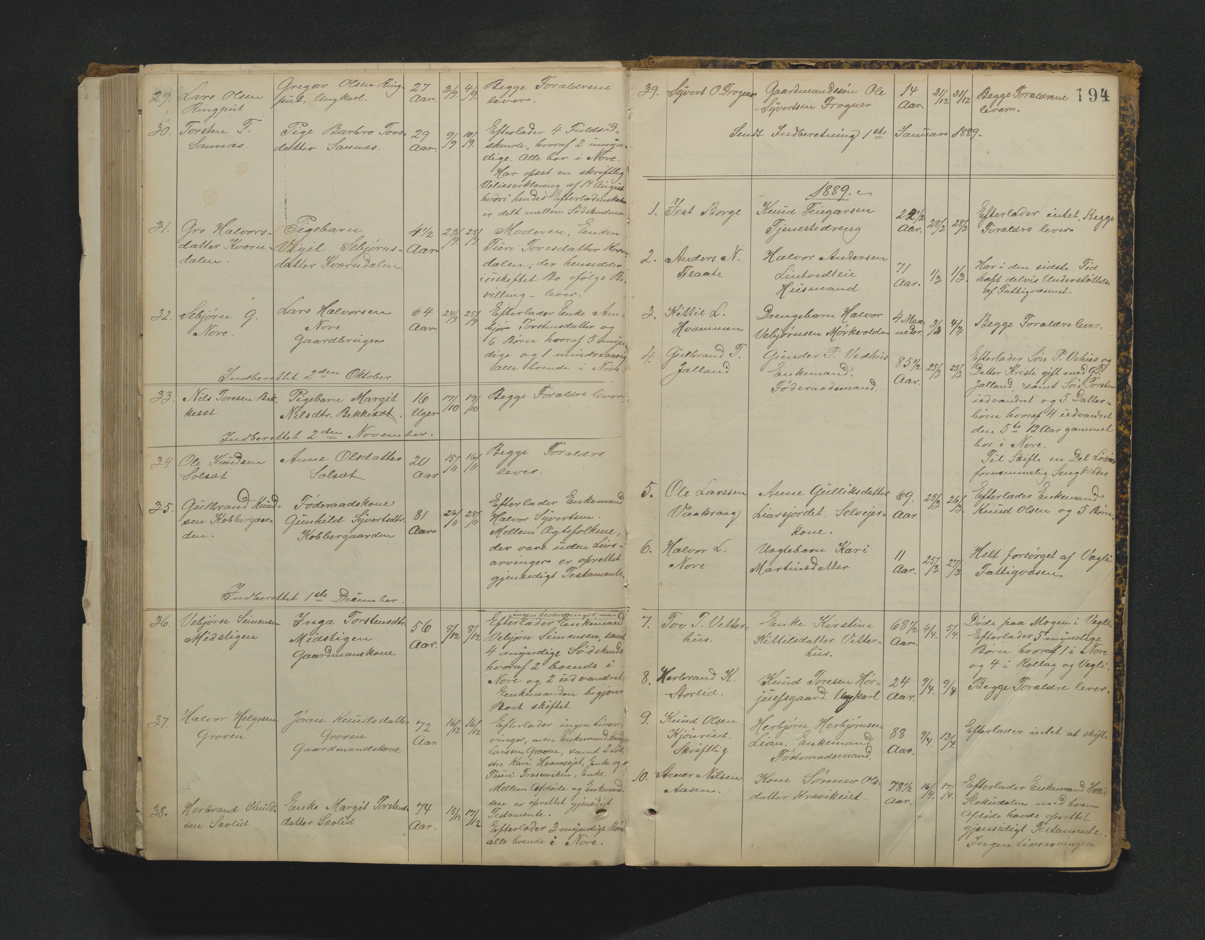 Nore lensmannskontor, AV/SAKO-A-520/H/Ha/L0001a: Registrerings- og dødsanmeldelsesprotokoll, 1882-1913, p. 194