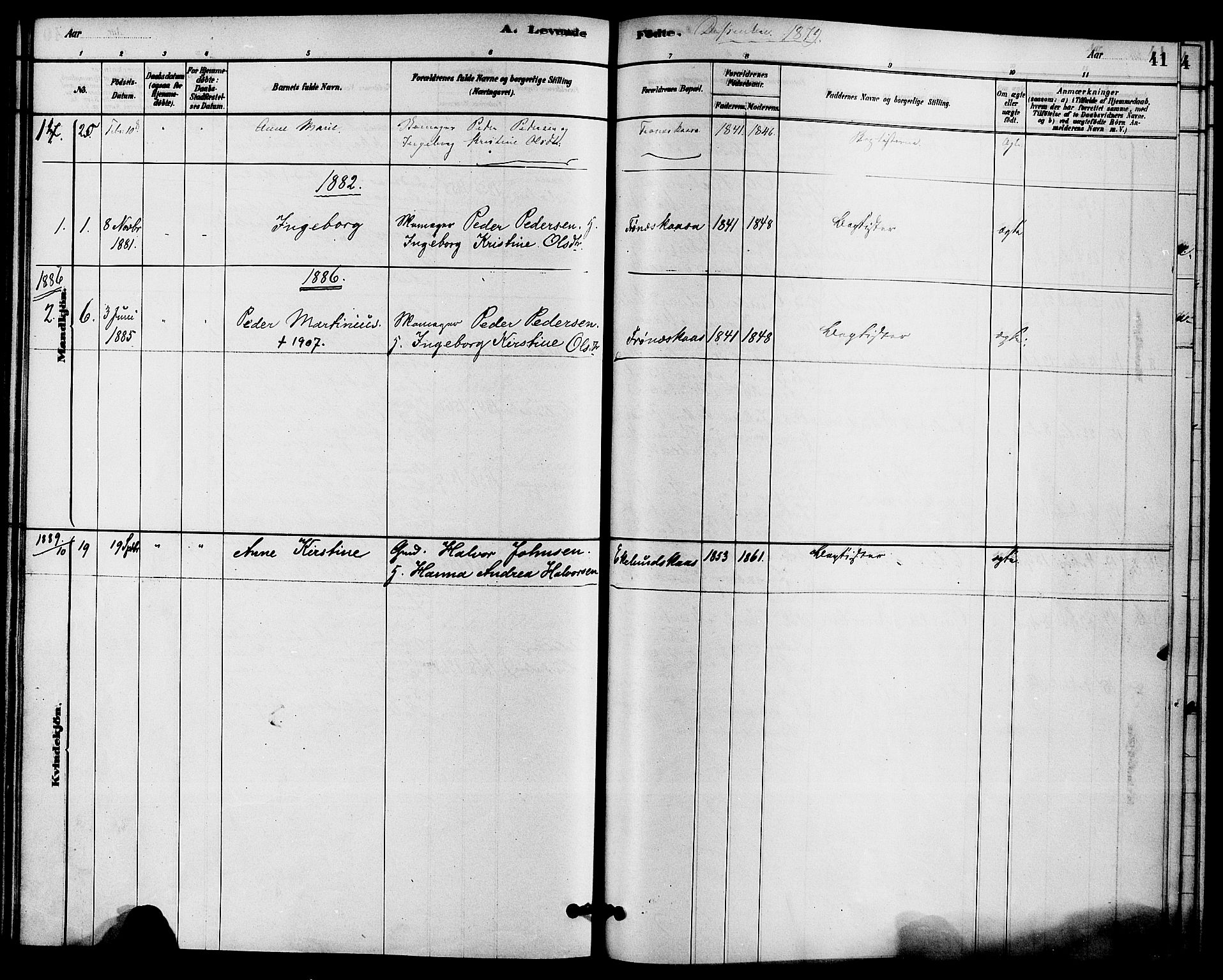 Solum kirkebøker, SAKO/A-306/F/Fc/L0001: Parish register (official) no. III 1, 1877-1891, p. 41