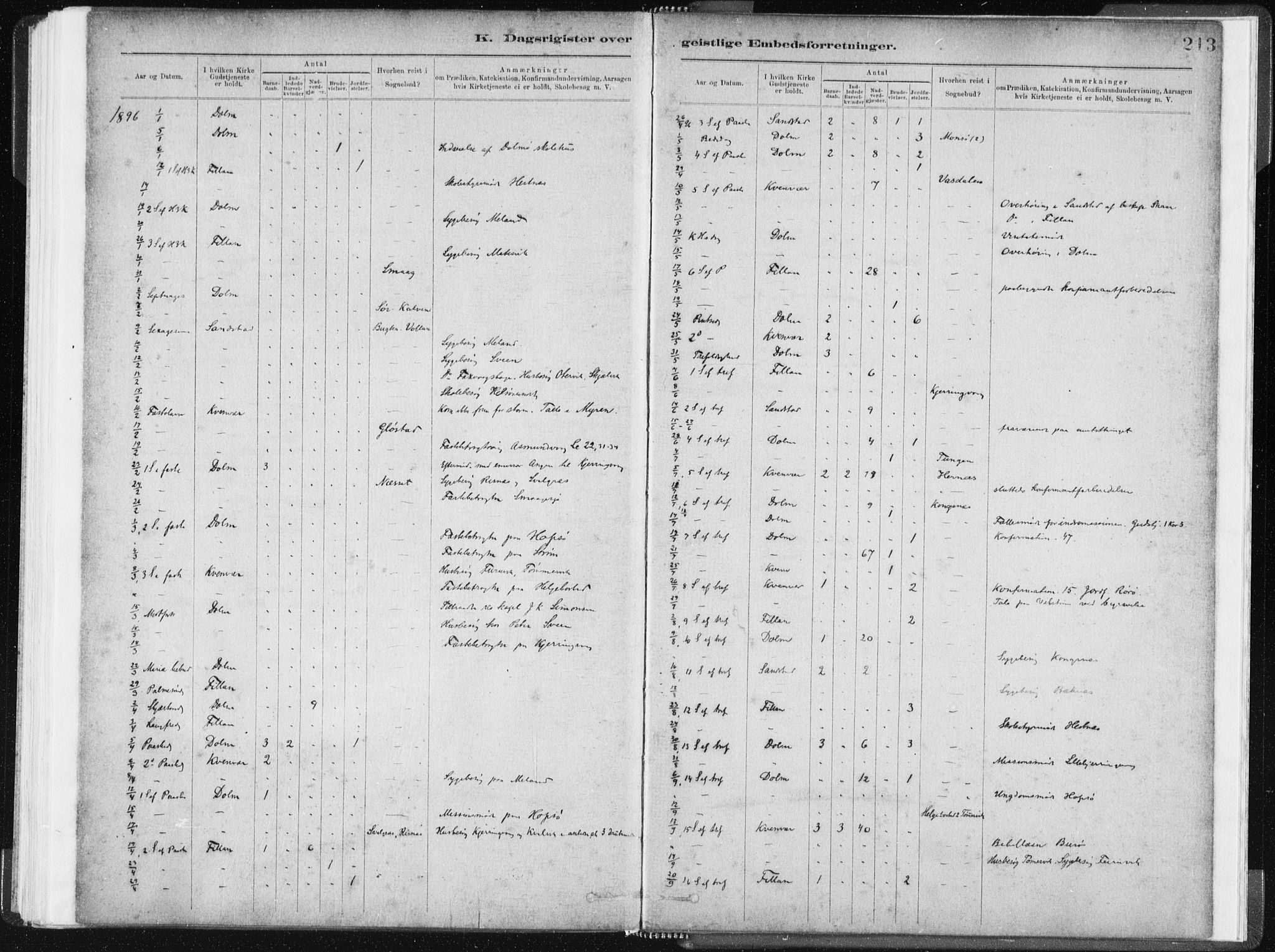 Ministerialprotokoller, klokkerbøker og fødselsregistre - Sør-Trøndelag, SAT/A-1456/634/L0533: Parish register (official) no. 634A09, 1882-1901, p. 213