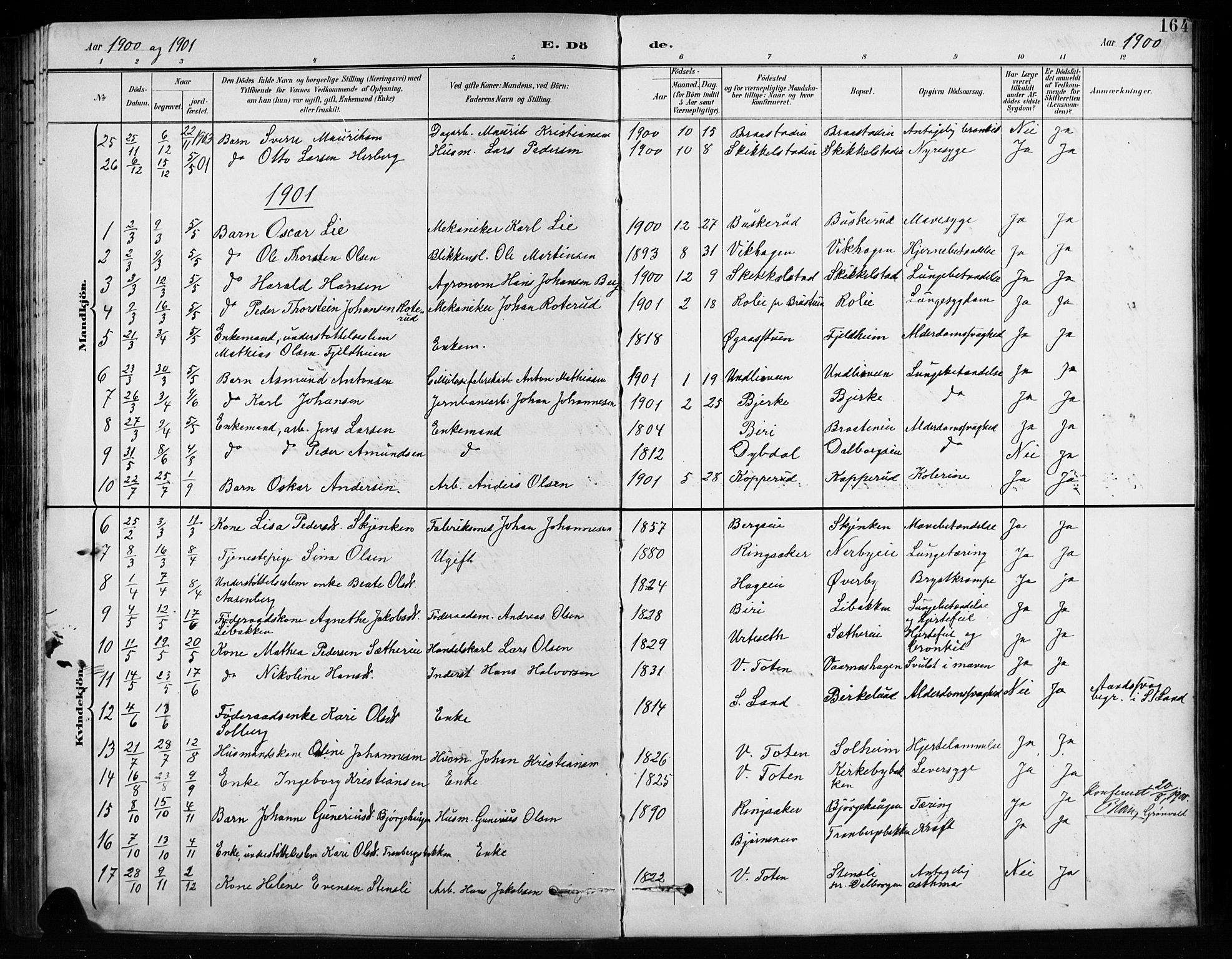 Vardal prestekontor, SAH/PREST-100/H/Ha/Hab/L0010: Parish register (copy) no. 10, 1895-1903, p. 164