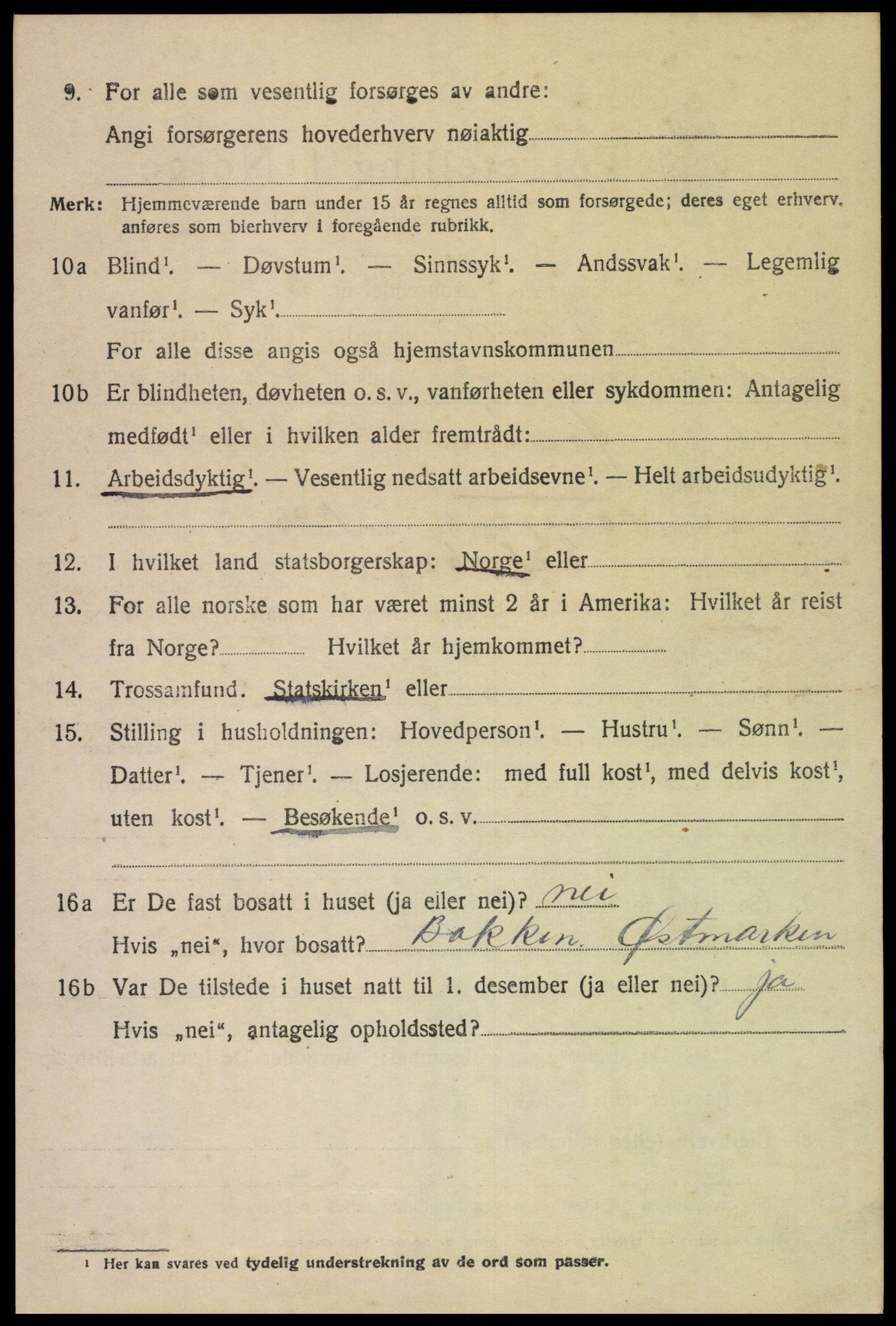 SAH, 1920 census for Vinger, 1920, p. 11371