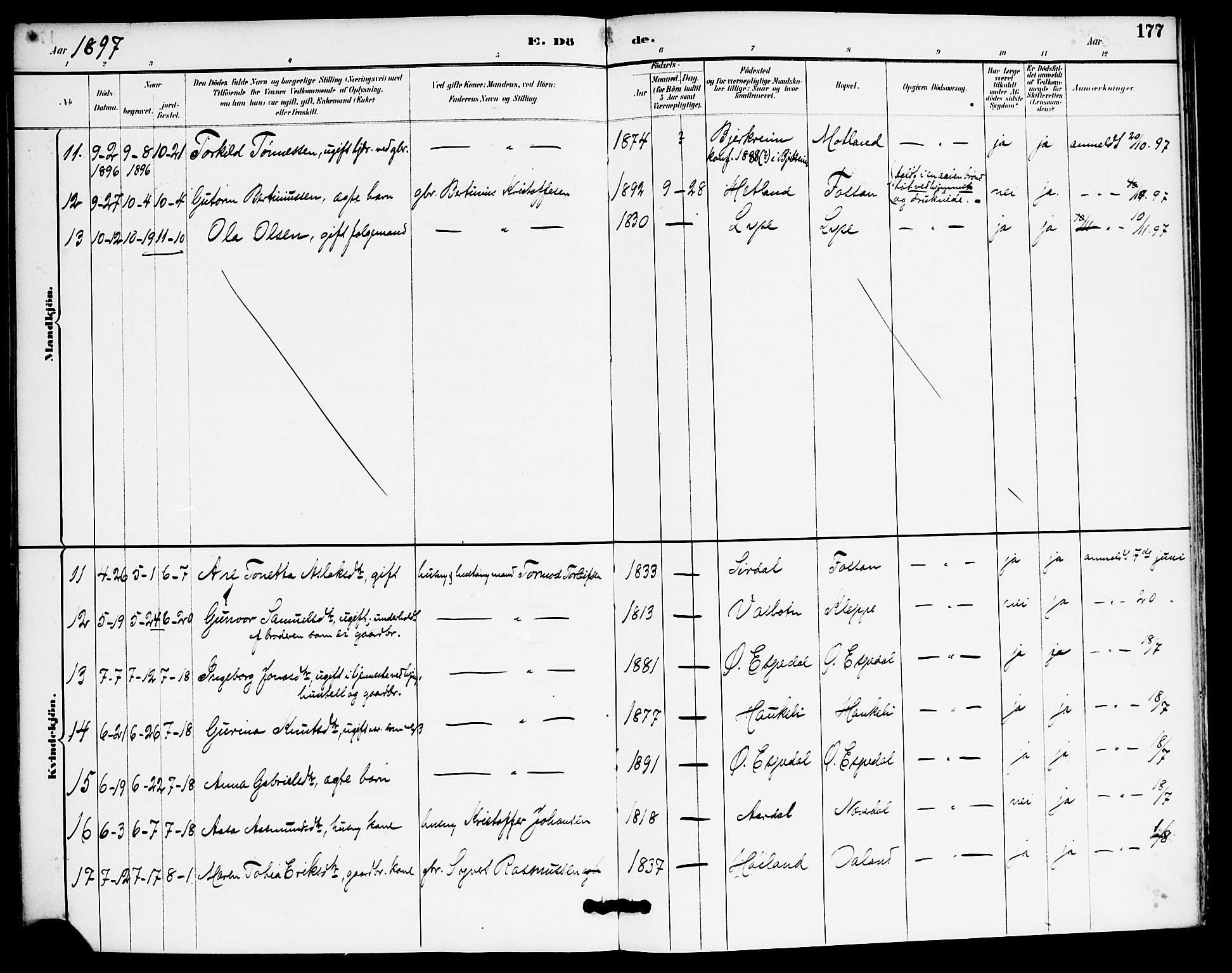 Høgsfjord sokneprestkontor, AV/SAST-A-101624/H/Ha/Haa/L0006: Parish register (official) no. A 6, 1885-1897, p. 177