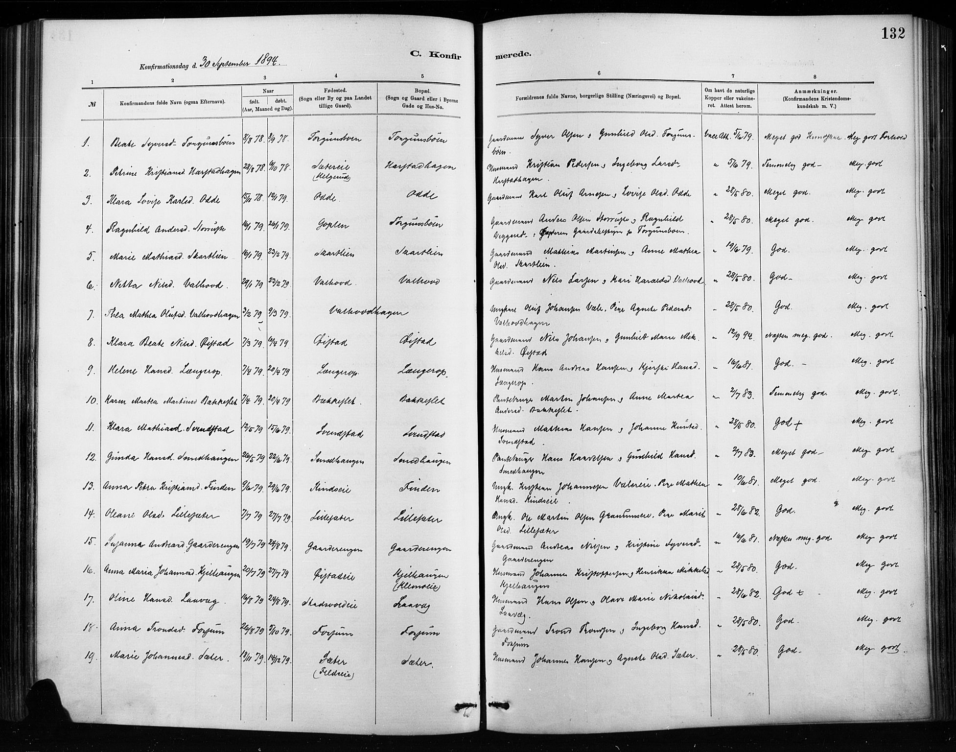 Nordre Land prestekontor, AV/SAH-PREST-124/H/Ha/Haa/L0004: Parish register (official) no. 4, 1882-1896, p. 132