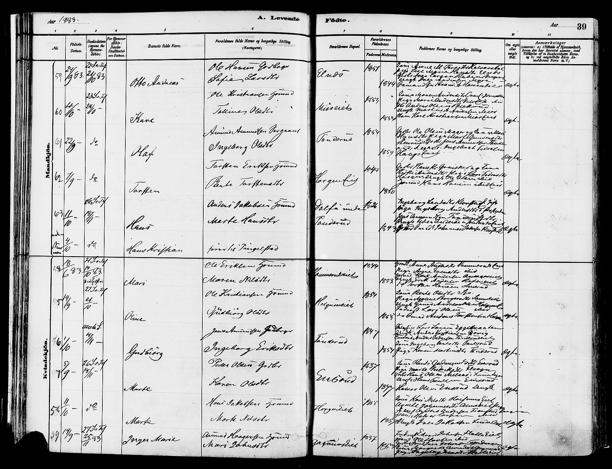 Gran prestekontor, SAH/PREST-112/H/Ha/Haa/L0014: Parish register (official) no. 14, 1880-1889, p. 39