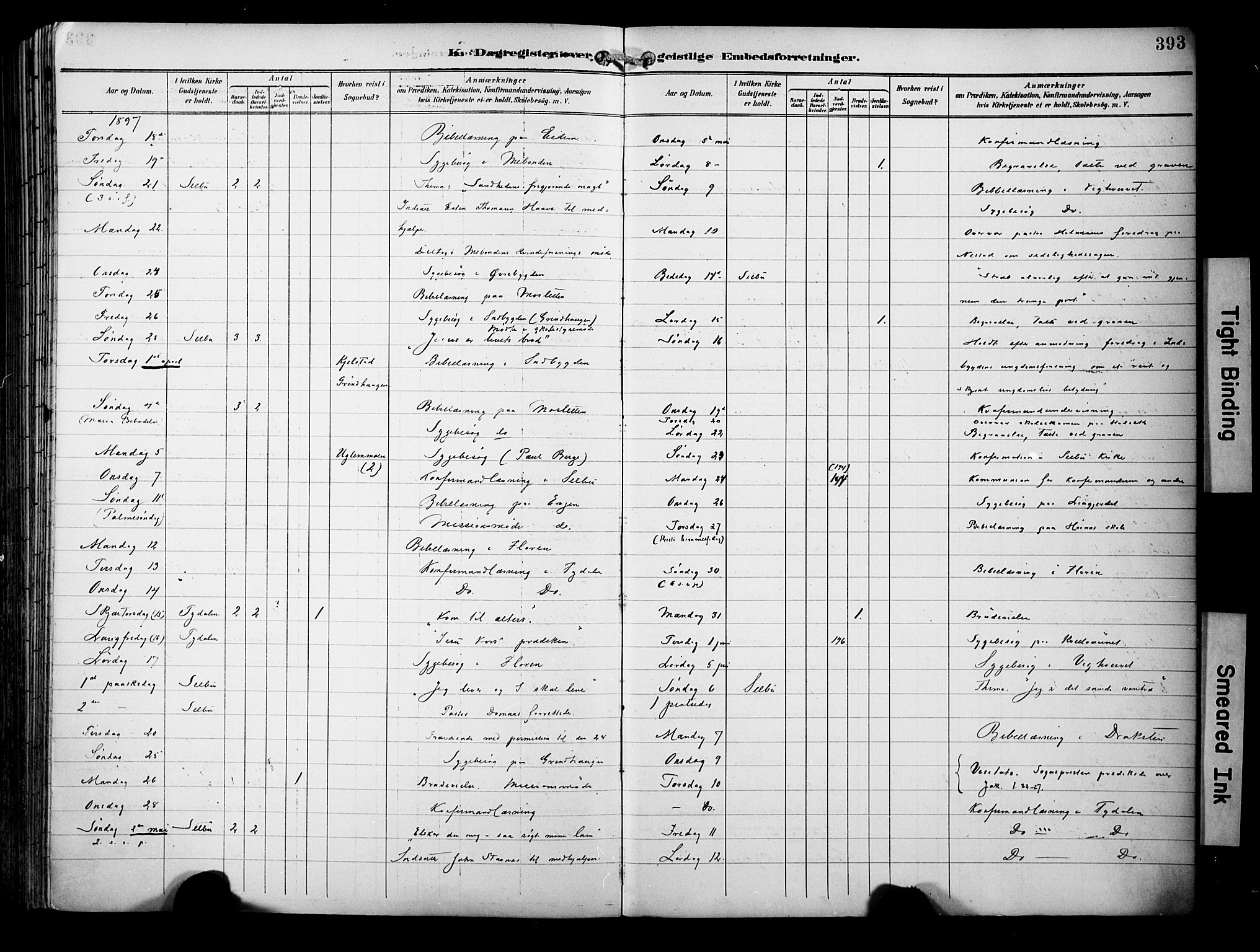 Ministerialprotokoller, klokkerbøker og fødselsregistre - Sør-Trøndelag, SAT/A-1456/695/L1149: Parish register (official) no. 695A09, 1891-1902, p. 393