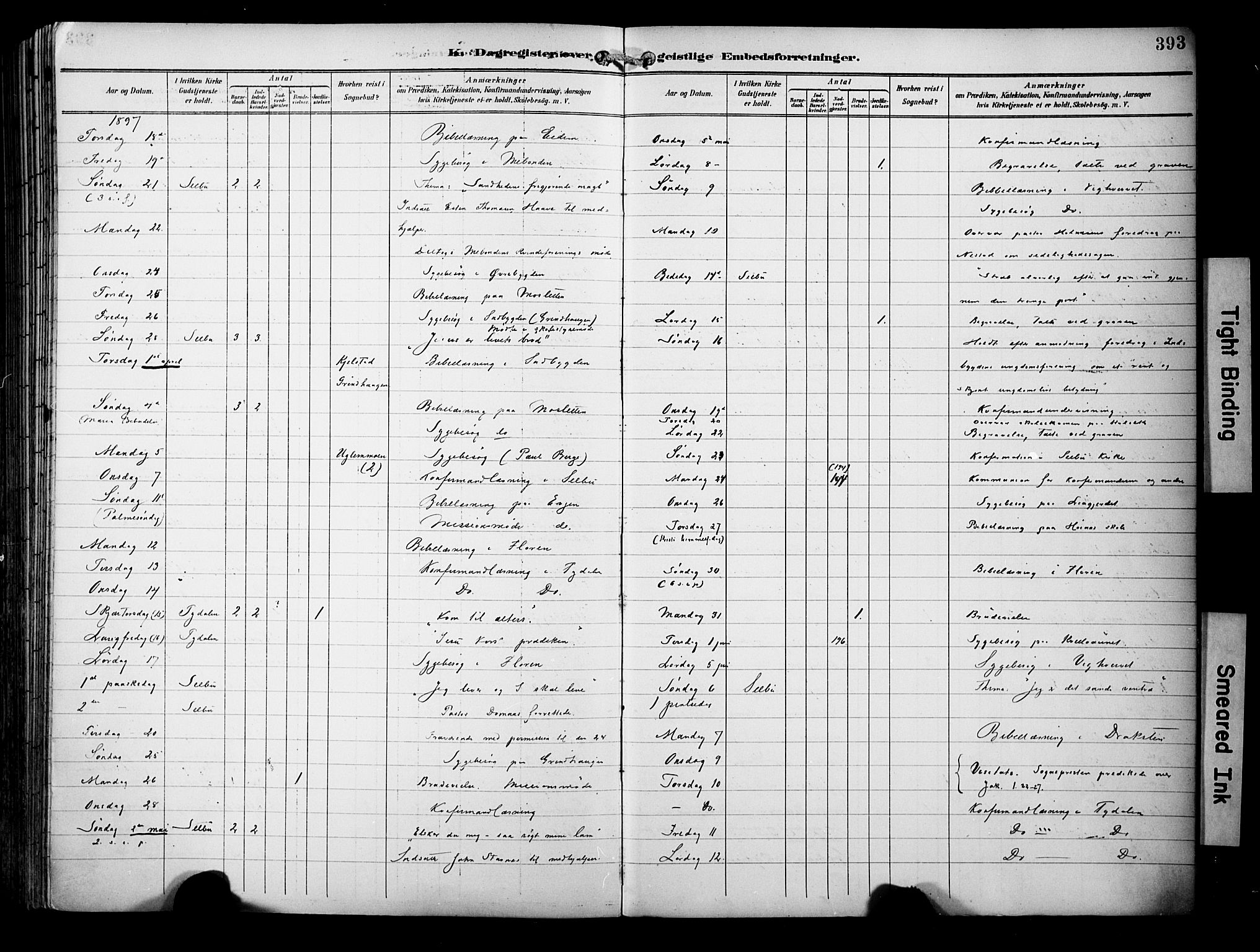 Ministerialprotokoller, klokkerbøker og fødselsregistre - Sør-Trøndelag, AV/SAT-A-1456/695/L1149: Parish register (official) no. 695A09, 1891-1902, p. 393