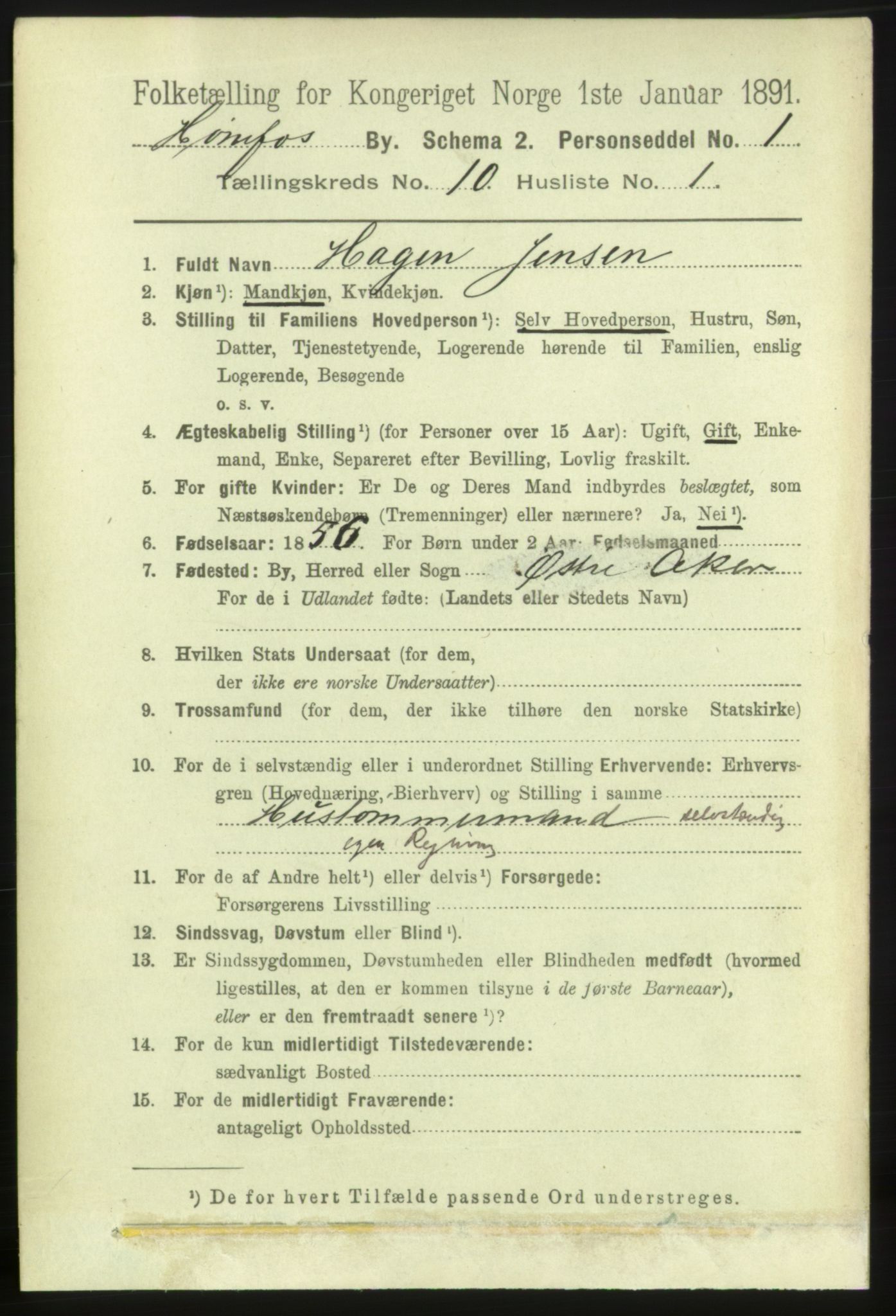 RA, 1891 census for 0601 Hønefoss, 1891, p. 1402