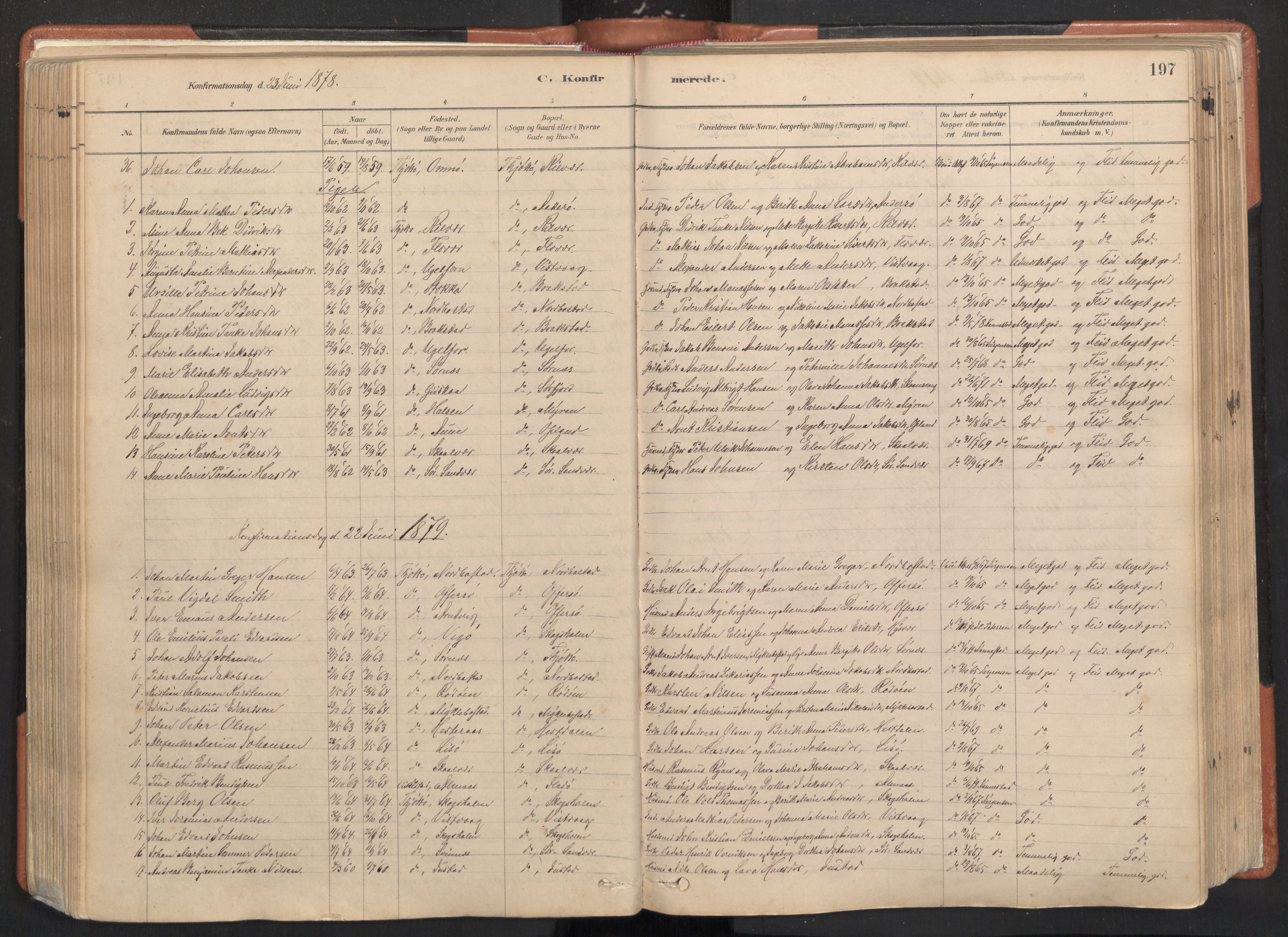 Ministerialprotokoller, klokkerbøker og fødselsregistre - Nordland, SAT/A-1459/817/L0264: Parish register (official) no. 817A04, 1878-1907, p. 197
