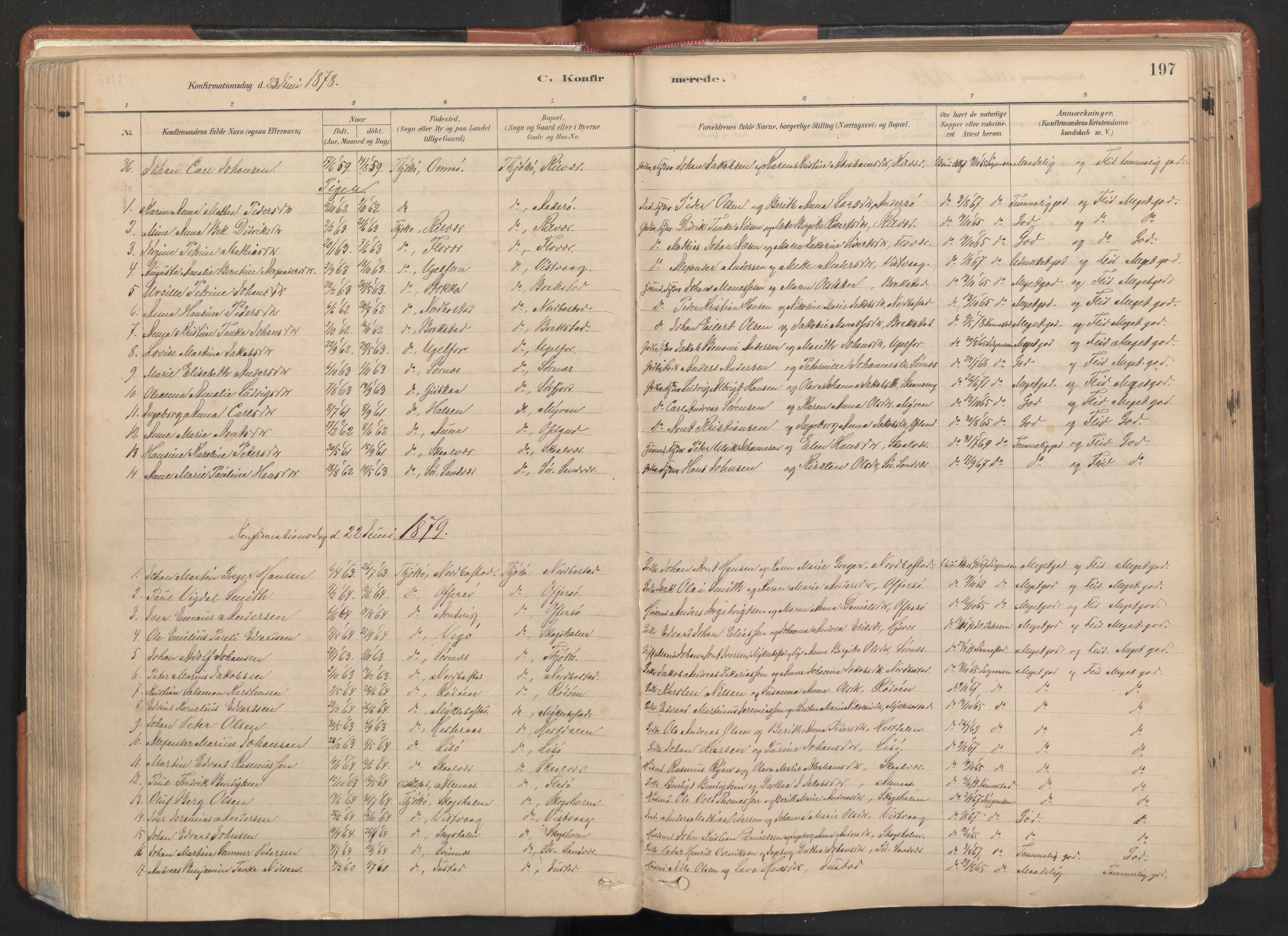 Ministerialprotokoller, klokkerbøker og fødselsregistre - Nordland, AV/SAT-A-1459/817/L0264: Parish register (official) no. 817A04, 1878-1907, p. 197