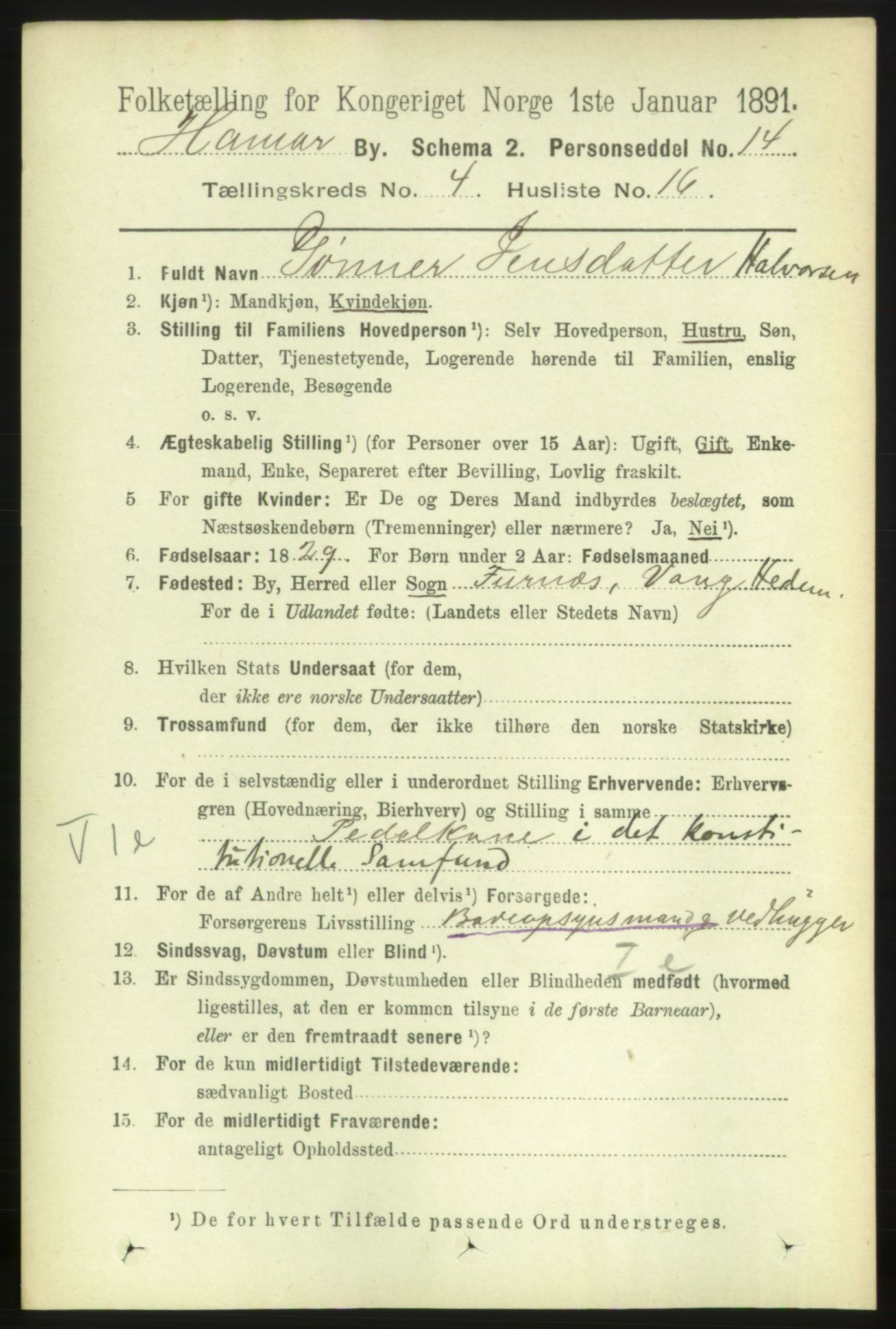 RA, 1891 census for 0401 Hamar, 1891, p. 3086
