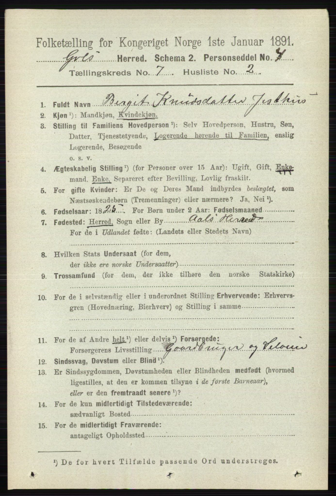 RA, 1891 census for 0617 Gol og Hemsedal, 1891, p. 2811