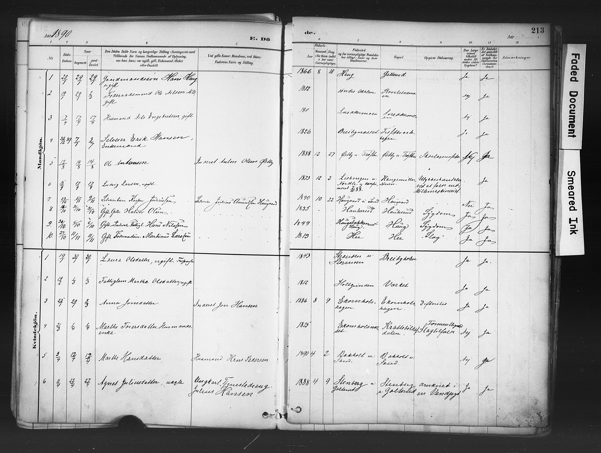 Nord-Odal prestekontor, AV/SAH-PREST-032/H/Ha/Haa/L0006: Parish register (official) no. 6, 1886-1901, p. 213