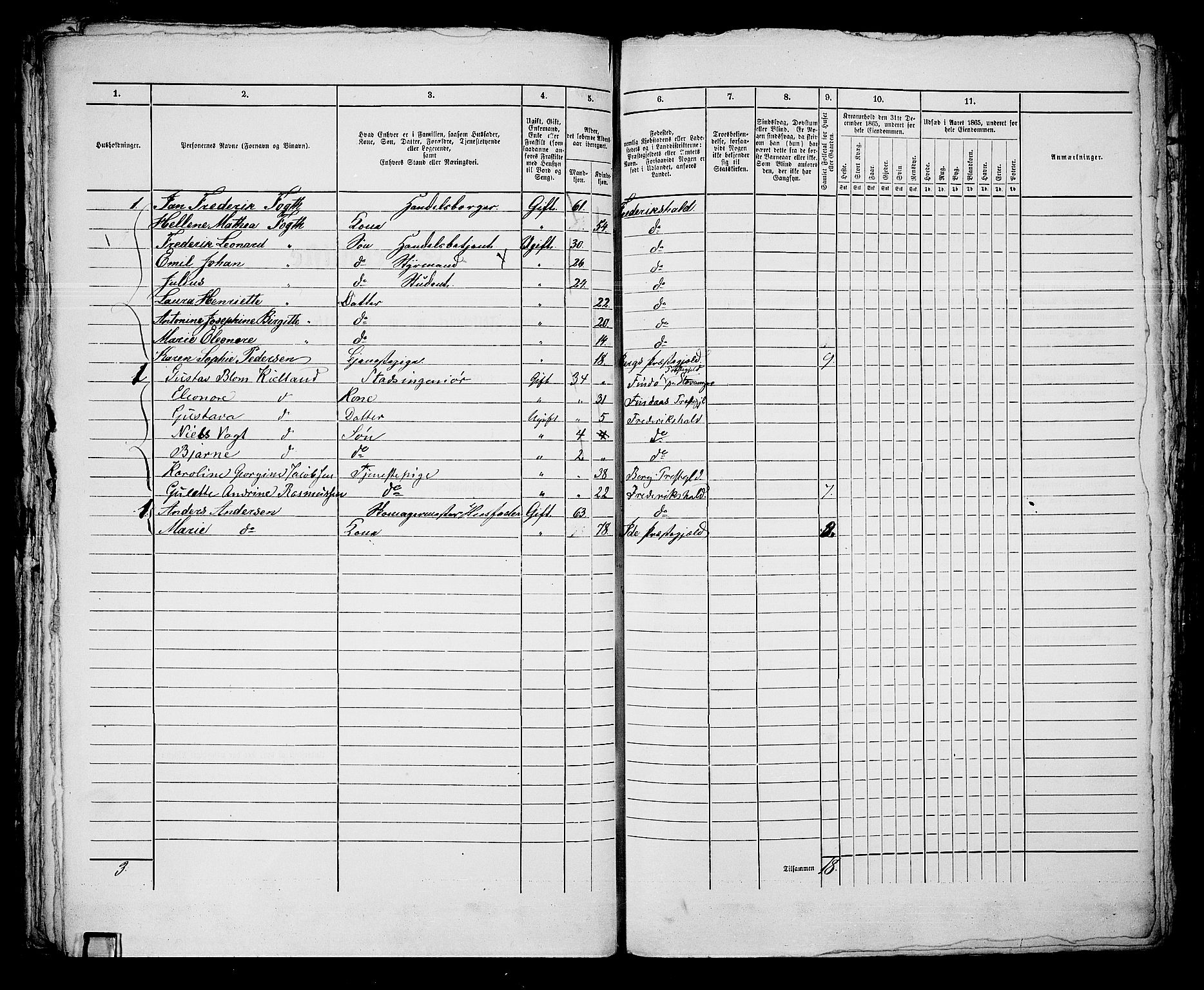 RA, 1865 census for Fredrikshald, 1865, p. 502