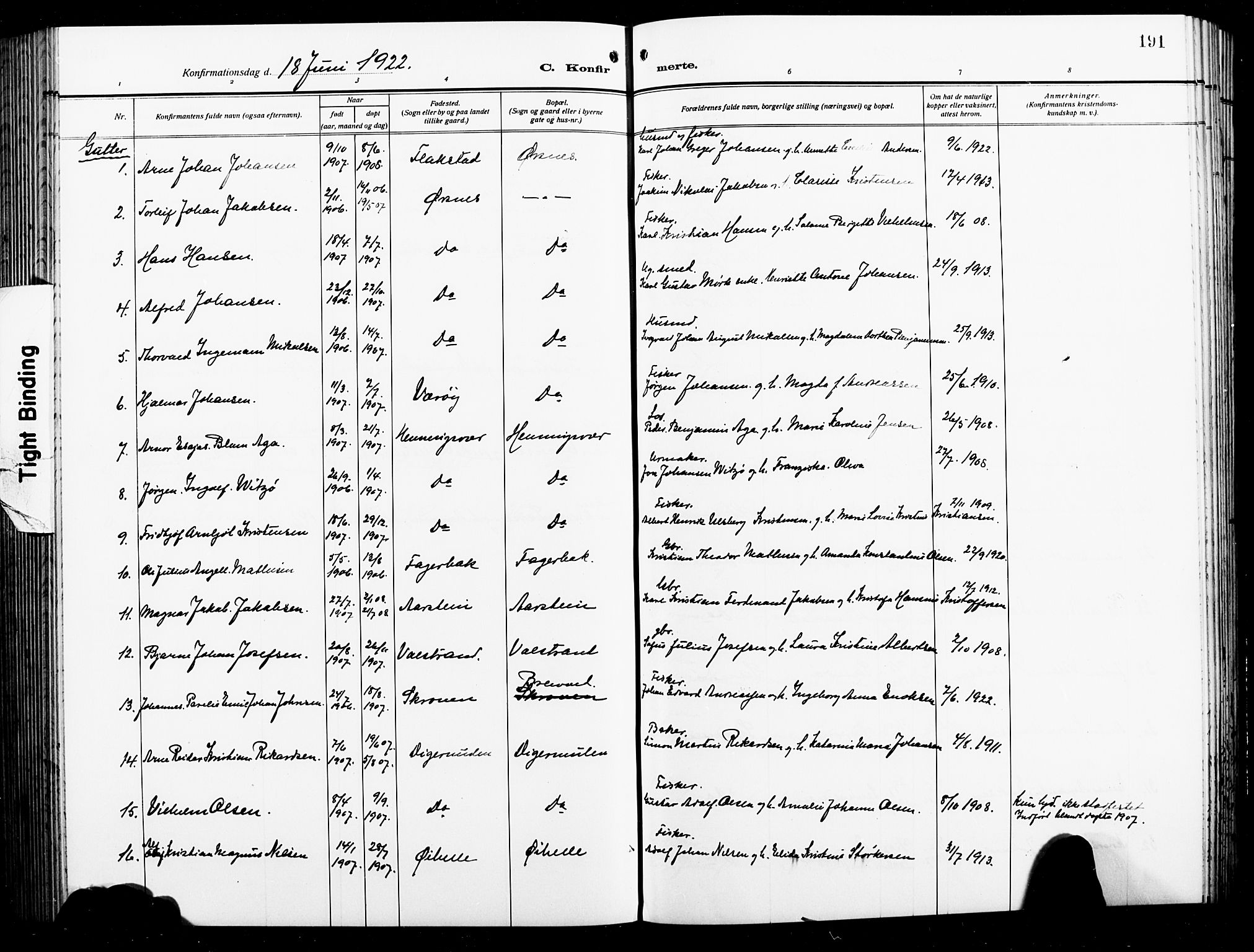 Ministerialprotokoller, klokkerbøker og fødselsregistre - Nordland, AV/SAT-A-1459/874/L1080: Parish register (copy) no. 874C09, 1915-1925, p. 191