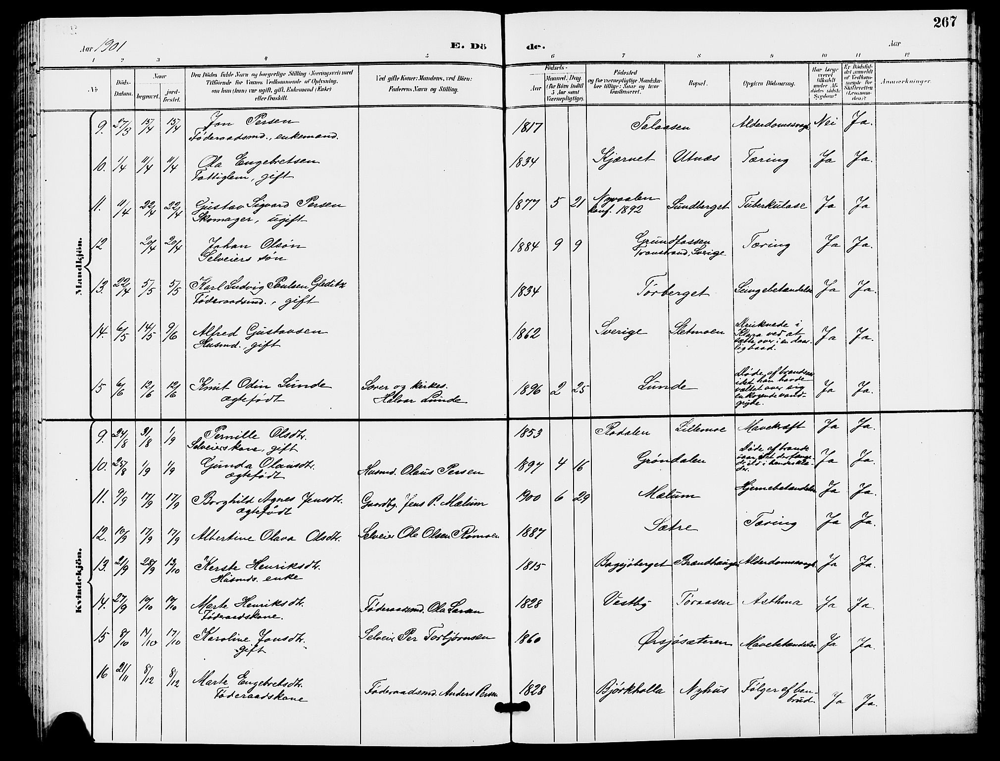 Trysil prestekontor, AV/SAH-PREST-046/H/Ha/Hab/L0006: Parish register (copy) no. 6, 1896-1912, p. 267