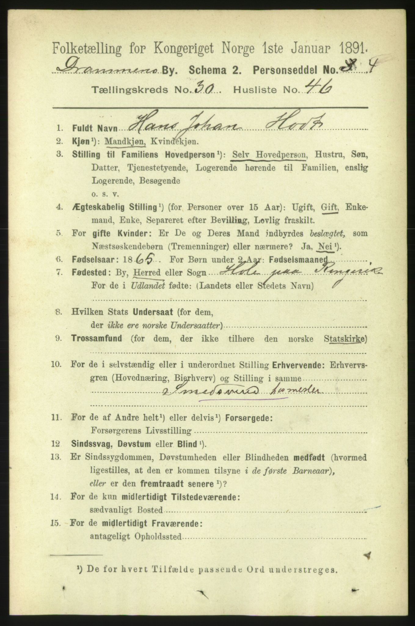 RA, 1891 census for 0602 Drammen, 1891, p. 18697