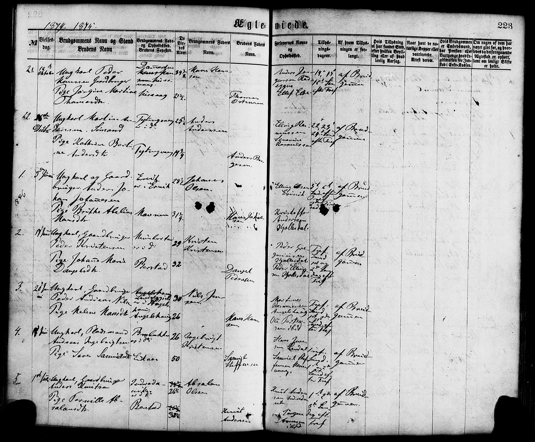 Davik sokneprestembete, SAB/A-79701/H/Haa/Haaa/L0006: Parish register (official) no. A 6, 1867-1881, p. 223