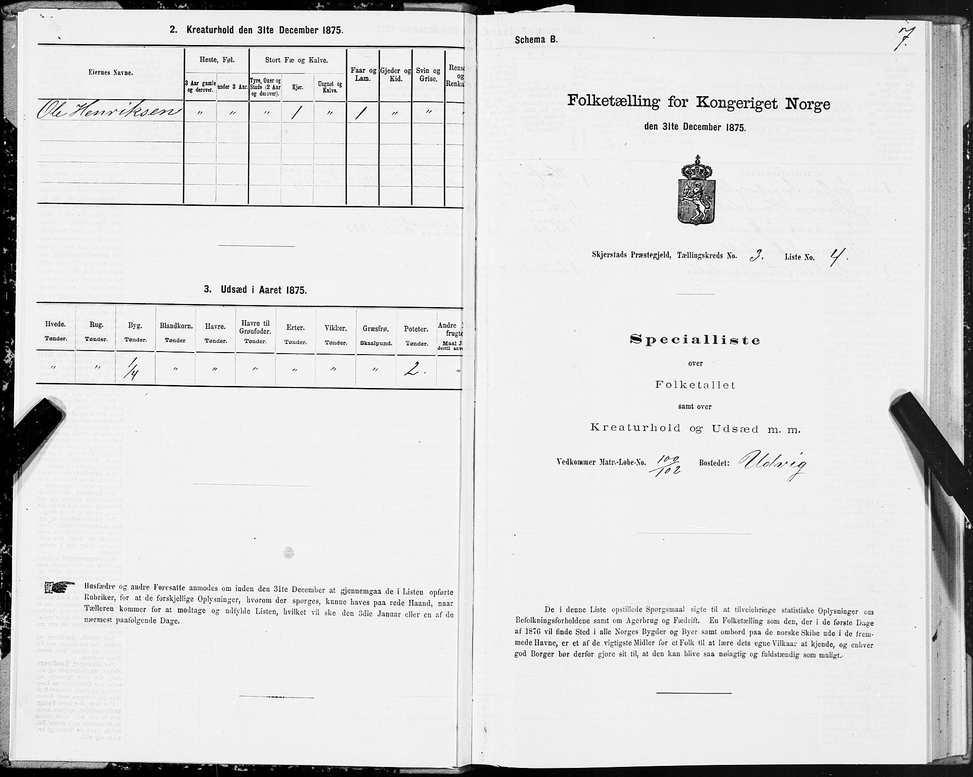 SAT, 1875 census for 1842P Skjerstad, 1875, p. 2007
