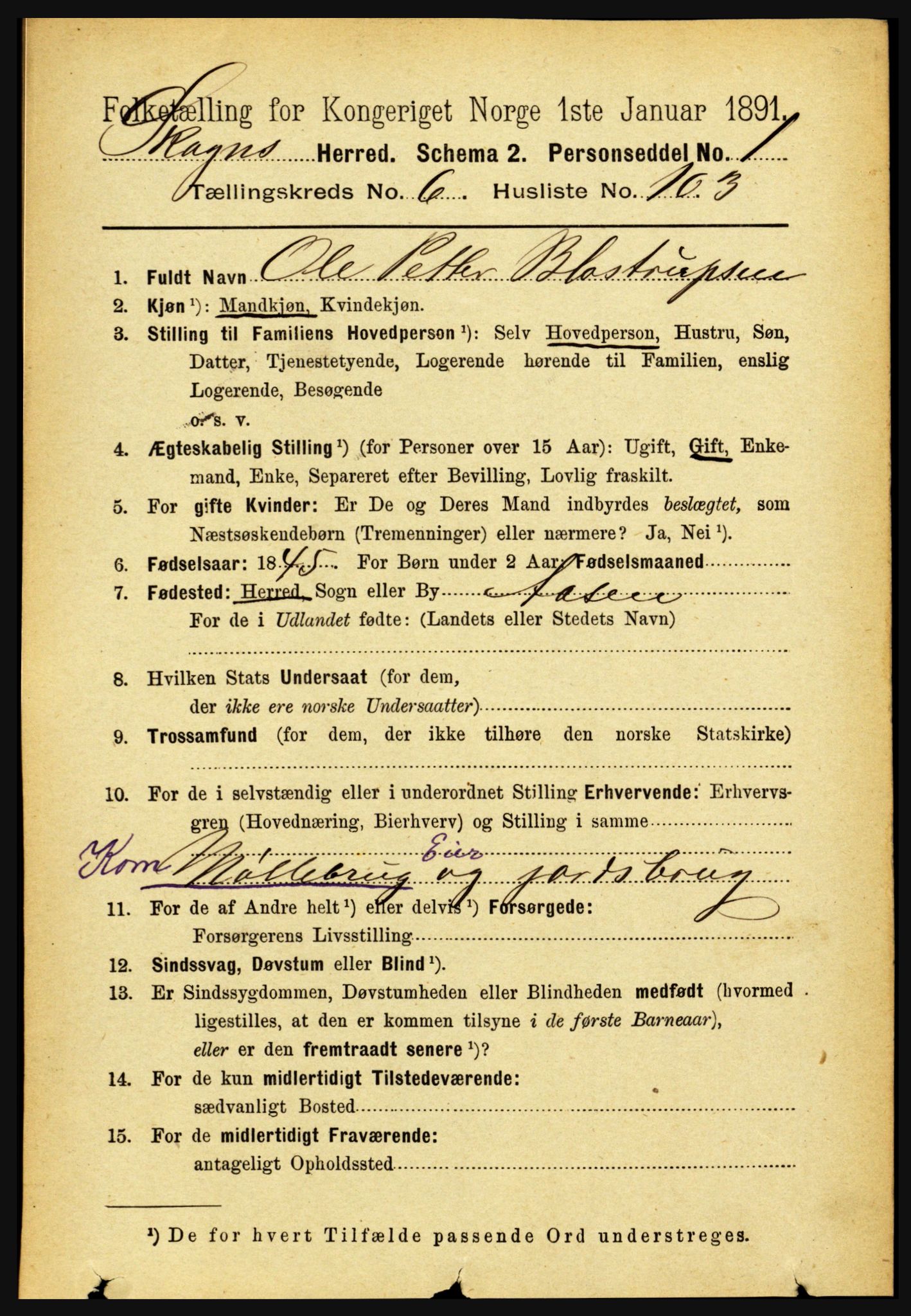 RA, 1891 census for 1719 Skogn, 1891, p. 4073