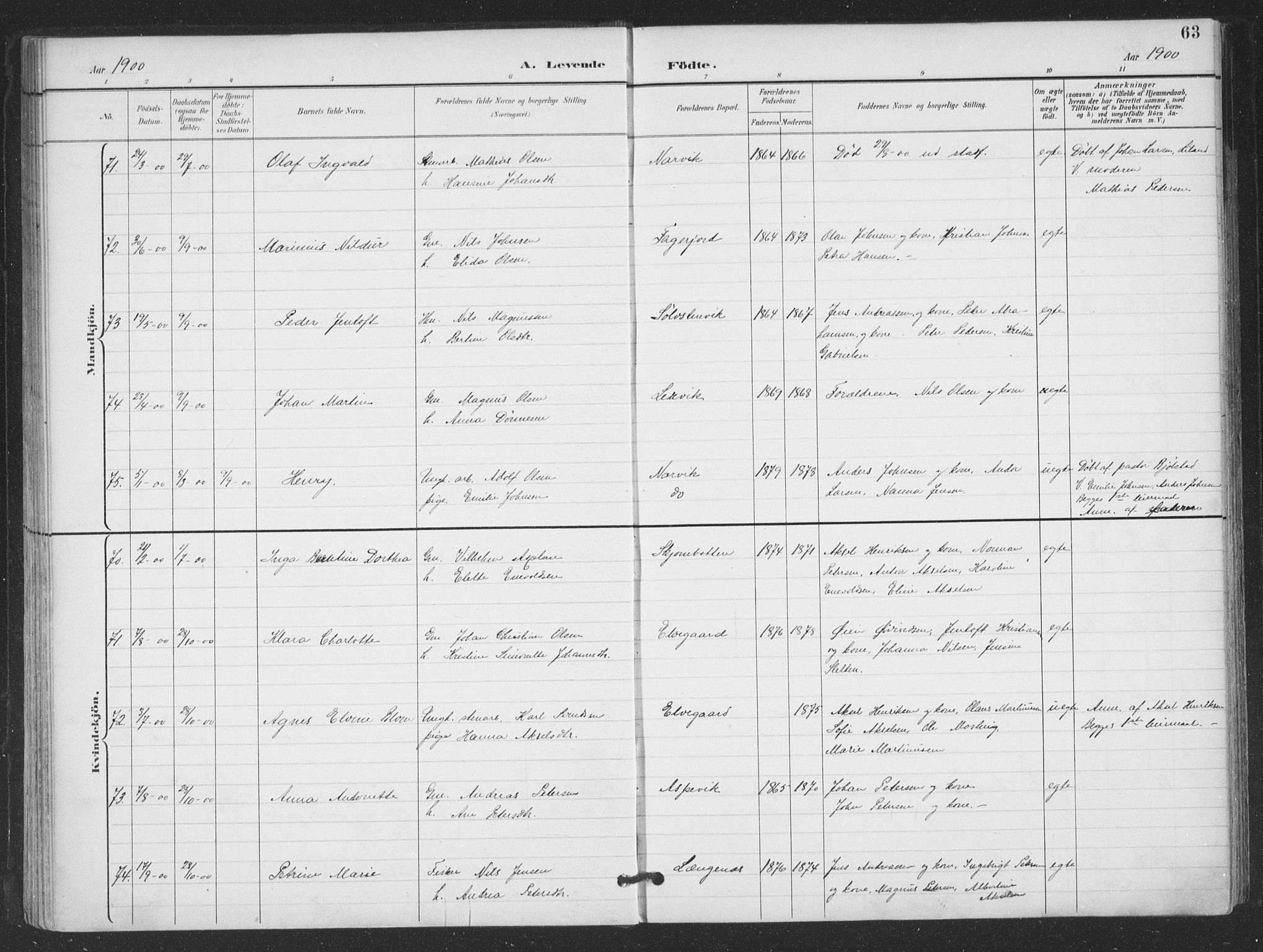 Ministerialprotokoller, klokkerbøker og fødselsregistre - Nordland, AV/SAT-A-1459/866/L0939: Parish register (official) no. 866A02, 1894-1906, p. 63