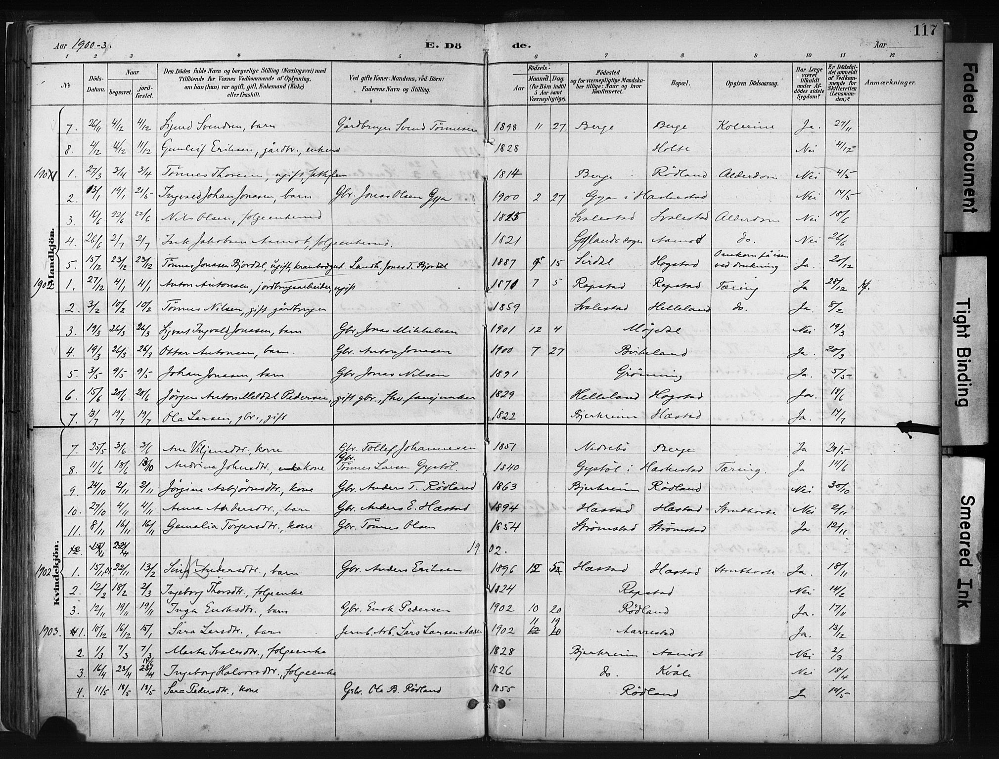 Helleland sokneprestkontor, AV/SAST-A-101810: Parish register (official) no. A 8, 1887-1907, p. 117