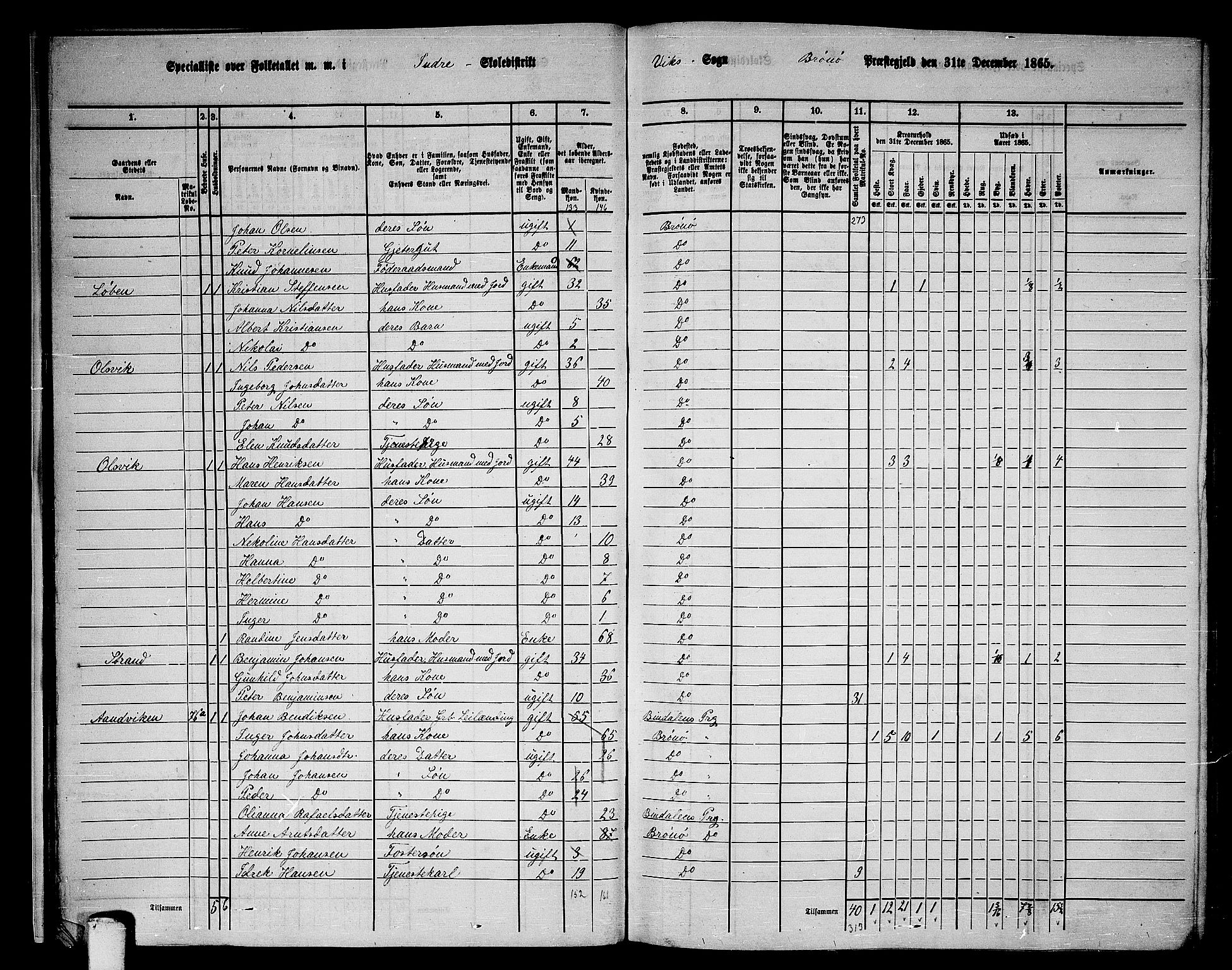 RA, 1865 census for Brønnøy, 1865, p. 22