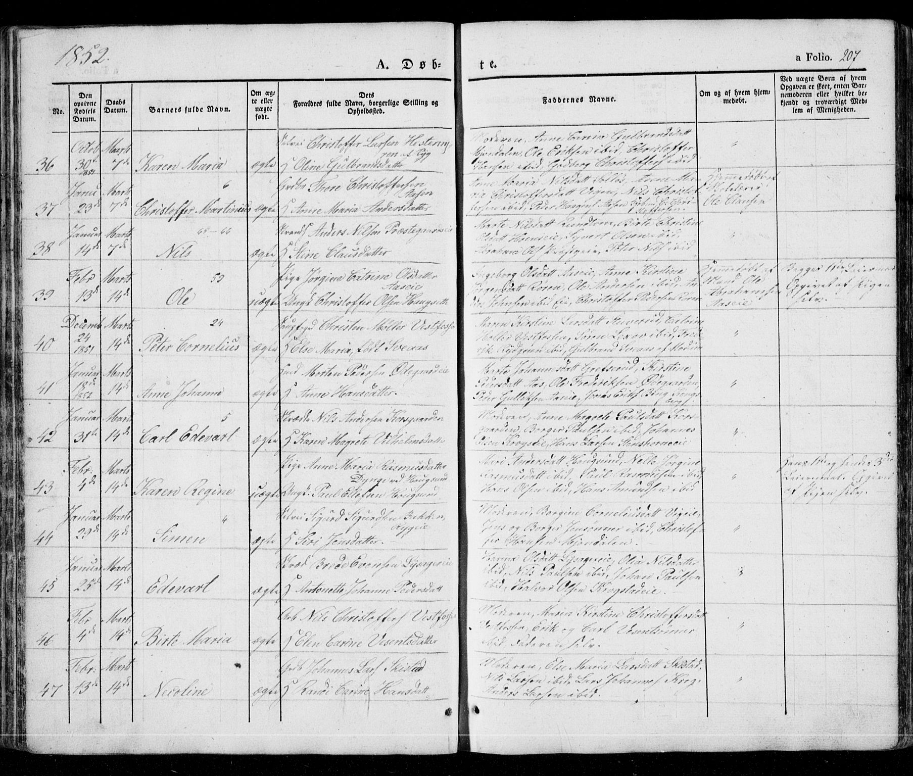 Eiker kirkebøker, AV/SAKO-A-4/G/Ga/L0002: Parish register (copy) no. I 2, 1832-1856, p. 207