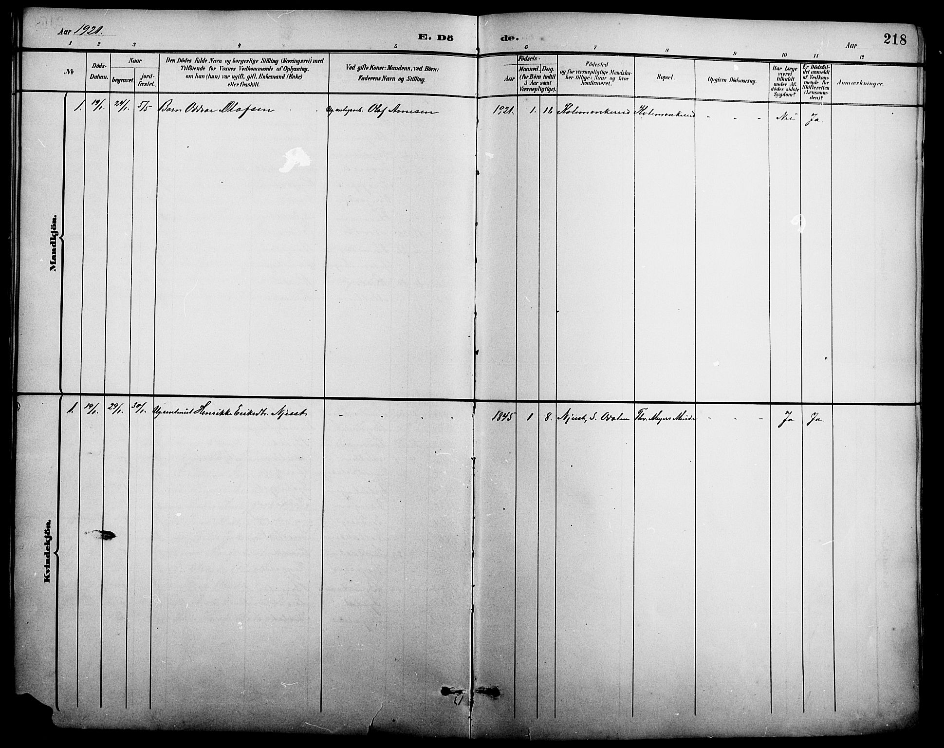 Nord-Odal prestekontor, AV/SAH-PREST-032/H/Ha/Hab/L0002: Parish register (copy) no. 2, 1895-1921, p. 218